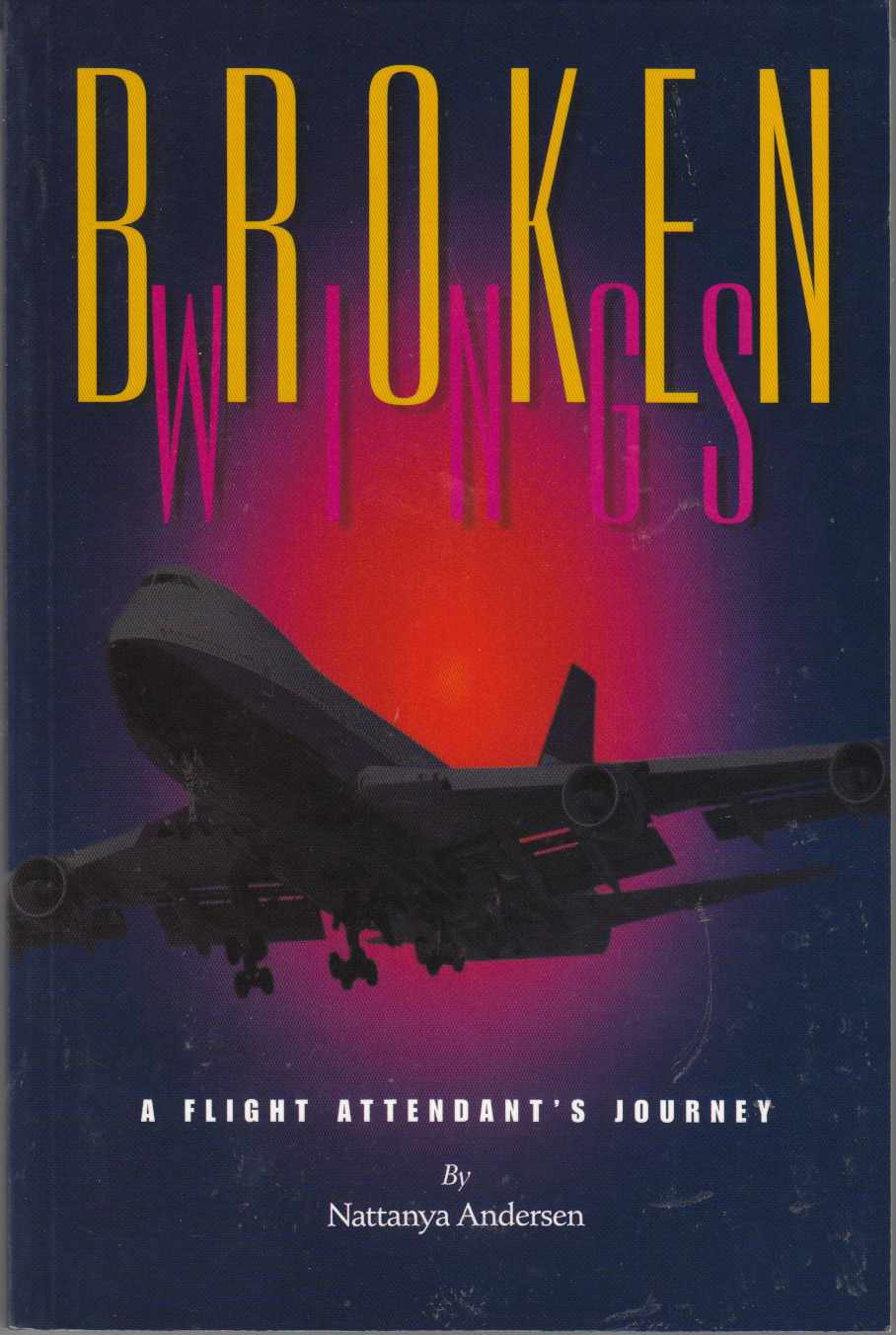 Broken Wings A Flight Attendant's Journey Image for Broken Wings A Flight Attendant's Journey