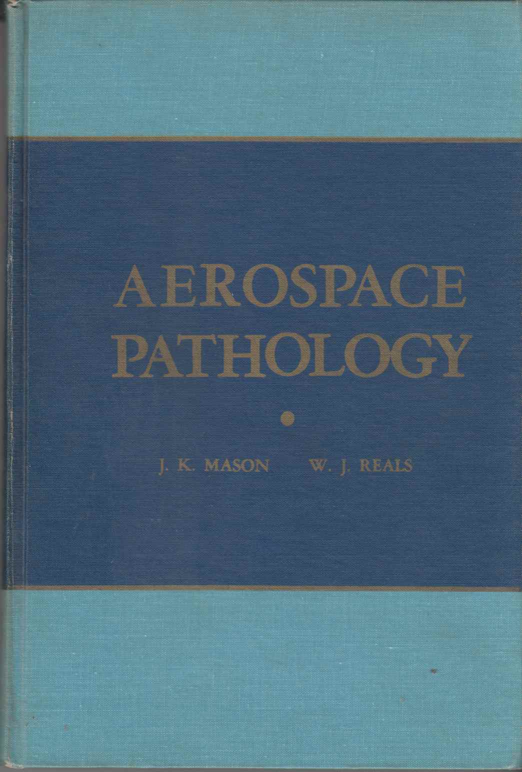 Image for Aerospace Pathology