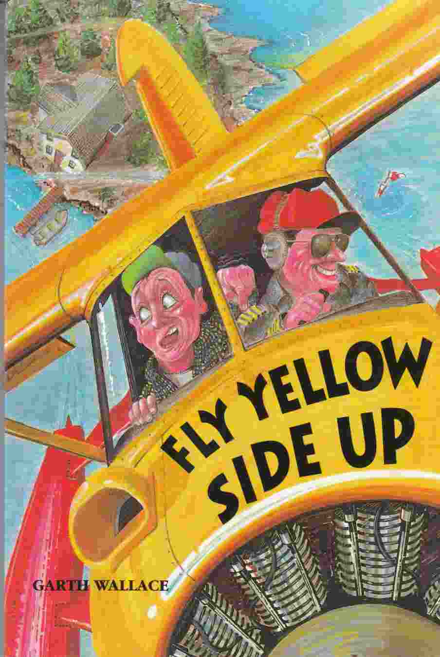 Image for Fly Yellow Side Up