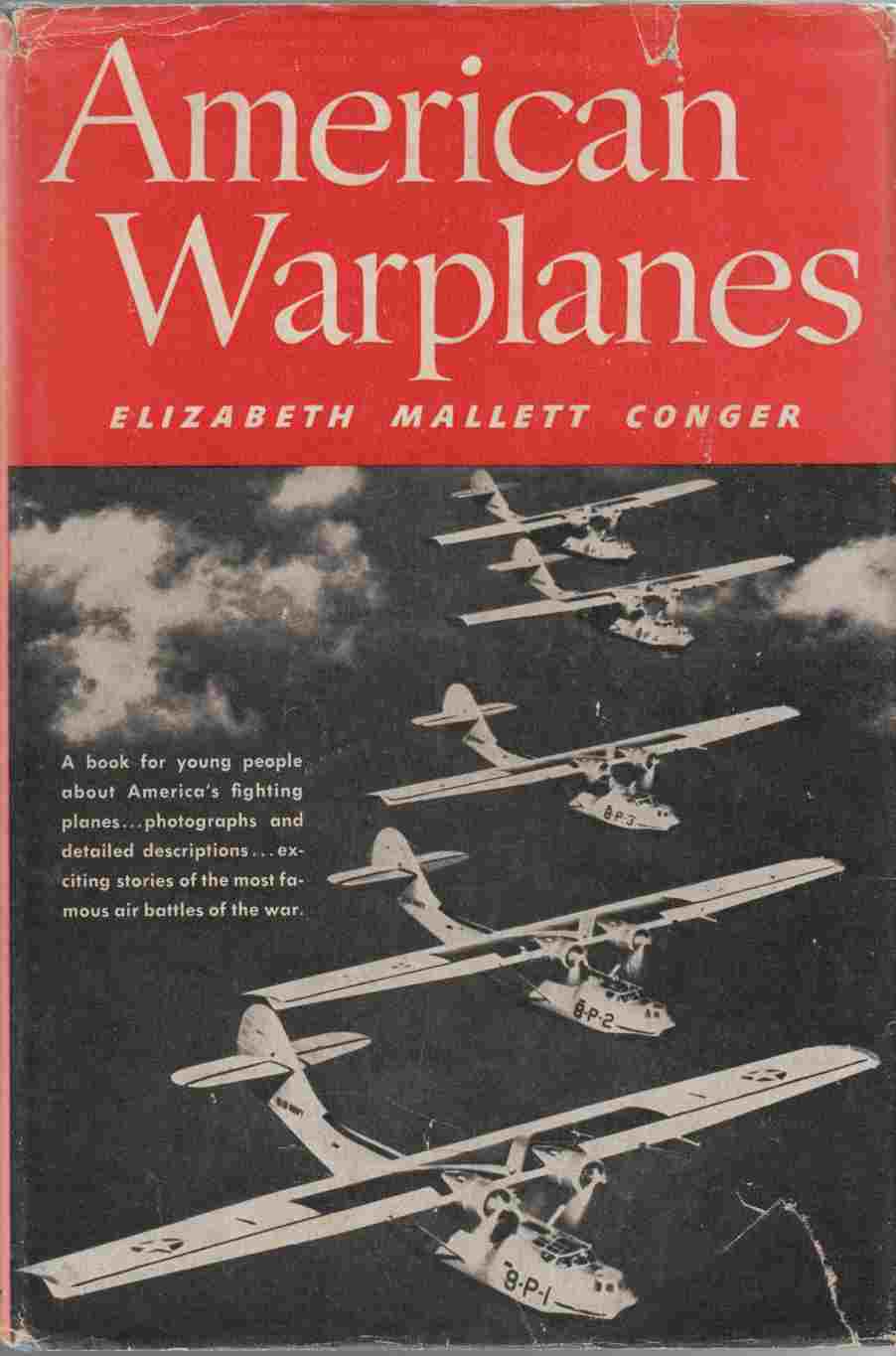 Image for American Warplanes