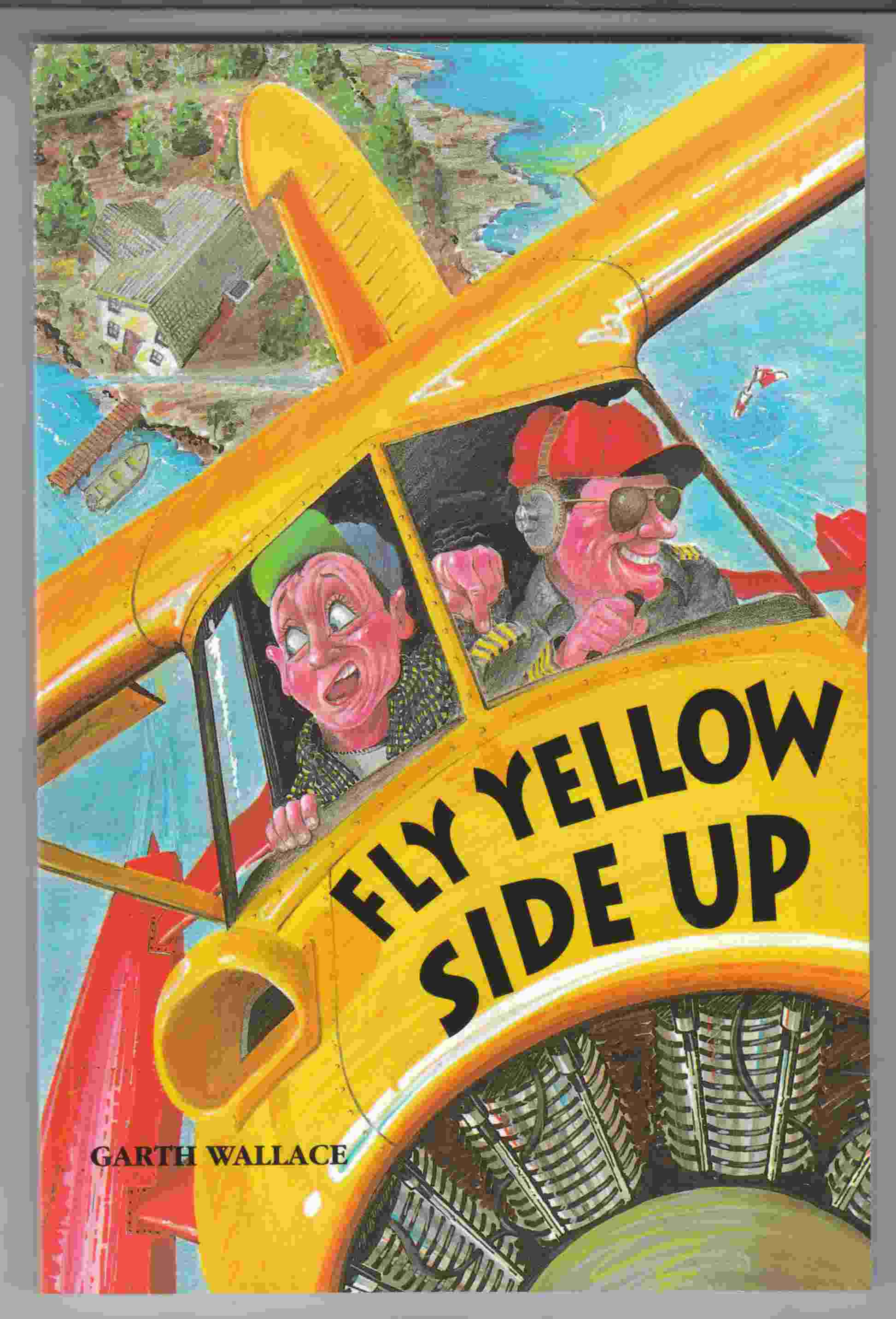 Fly Yellow Side Up Image for Fly Yellow Side Up