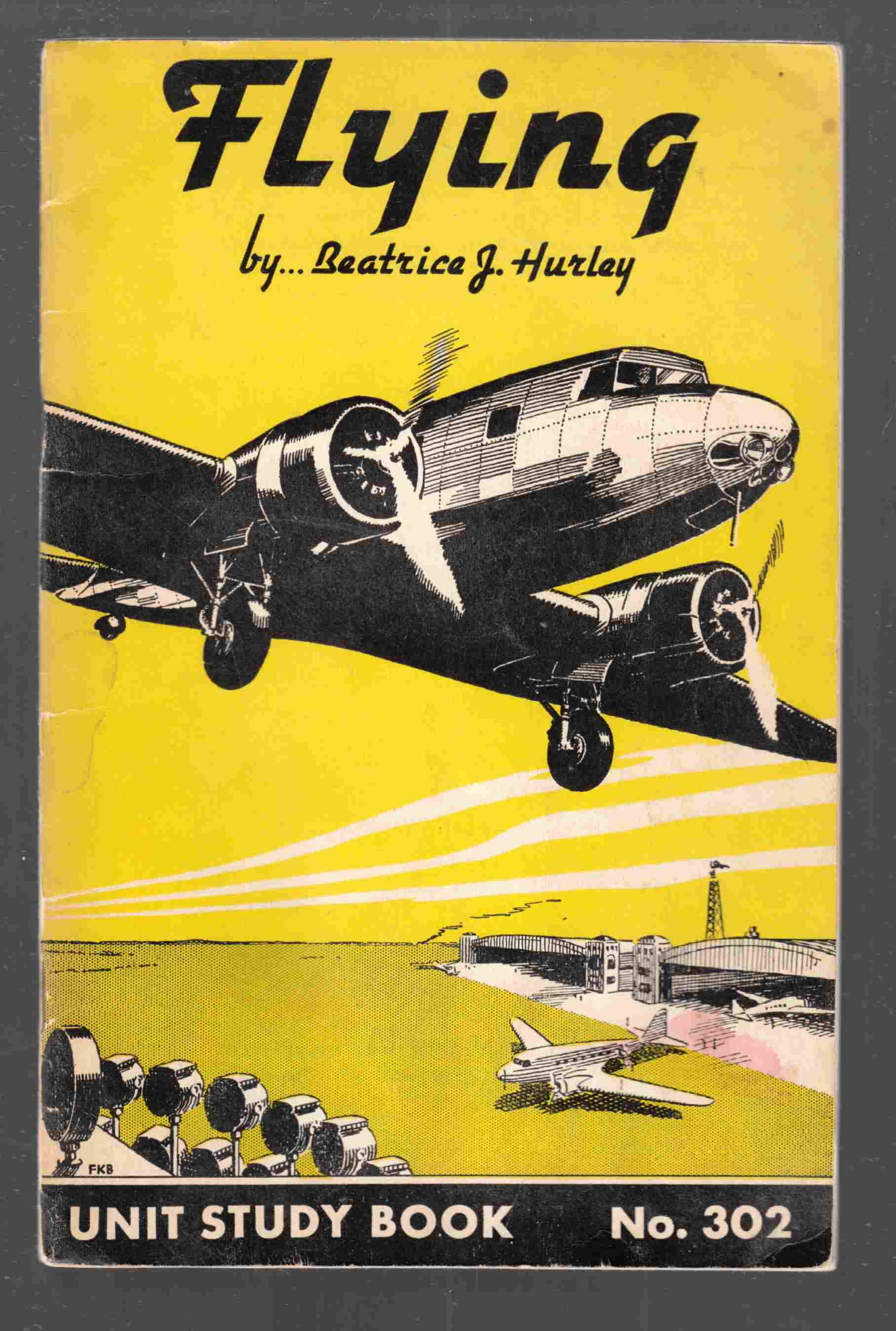 Image for Flying