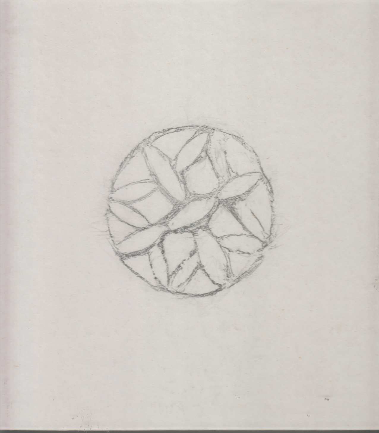Image for Shoe