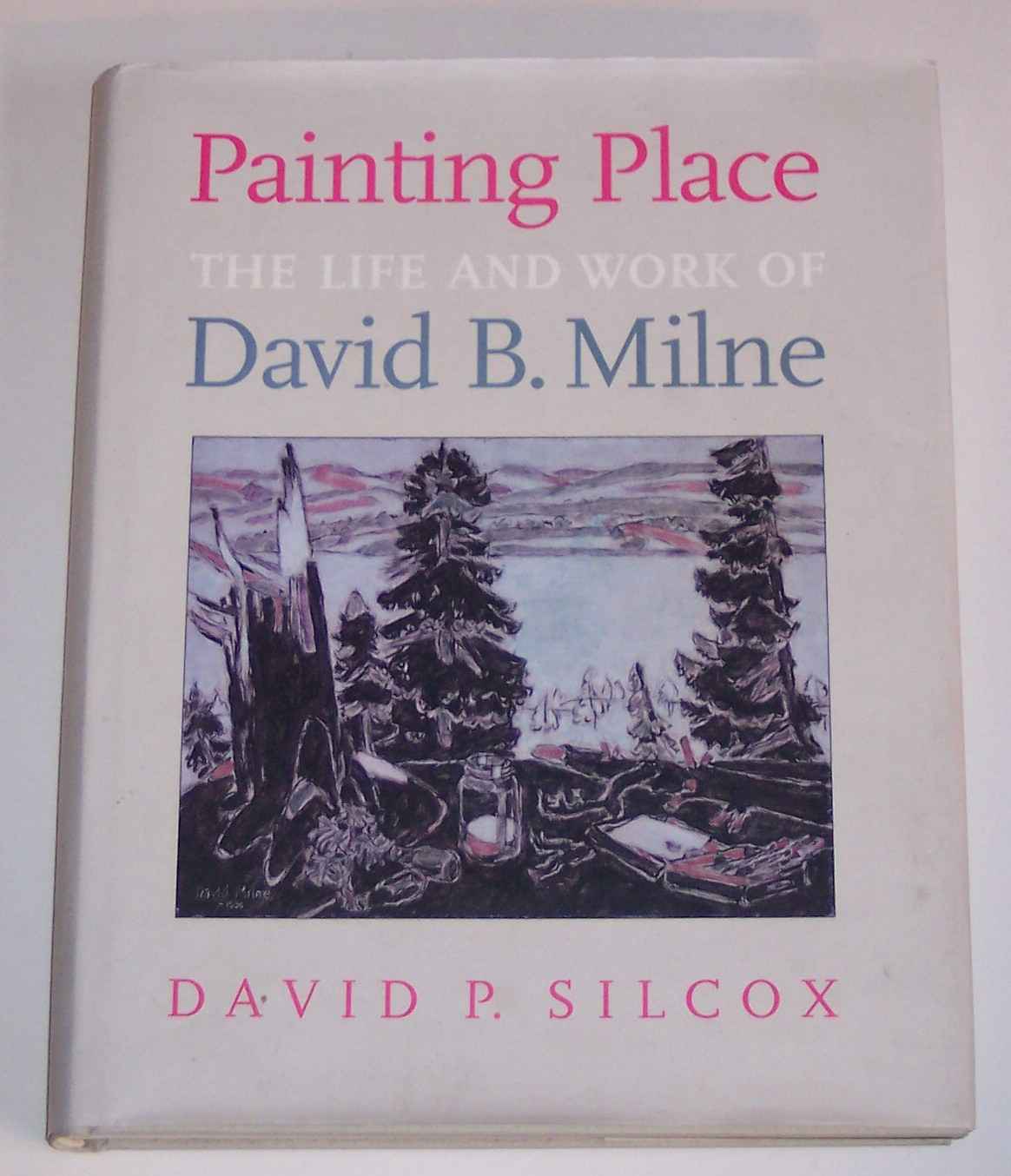Image for Painting Place The Life and Work of David B. Milne