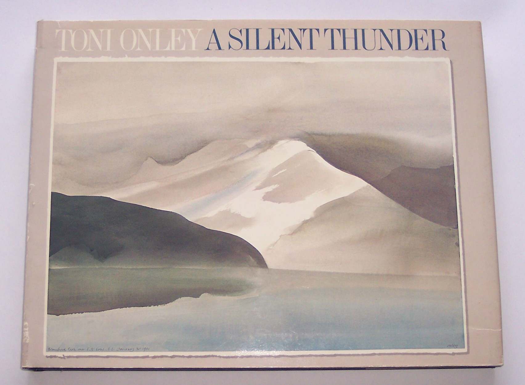 Image for Toni Onley: a Silent Thunder