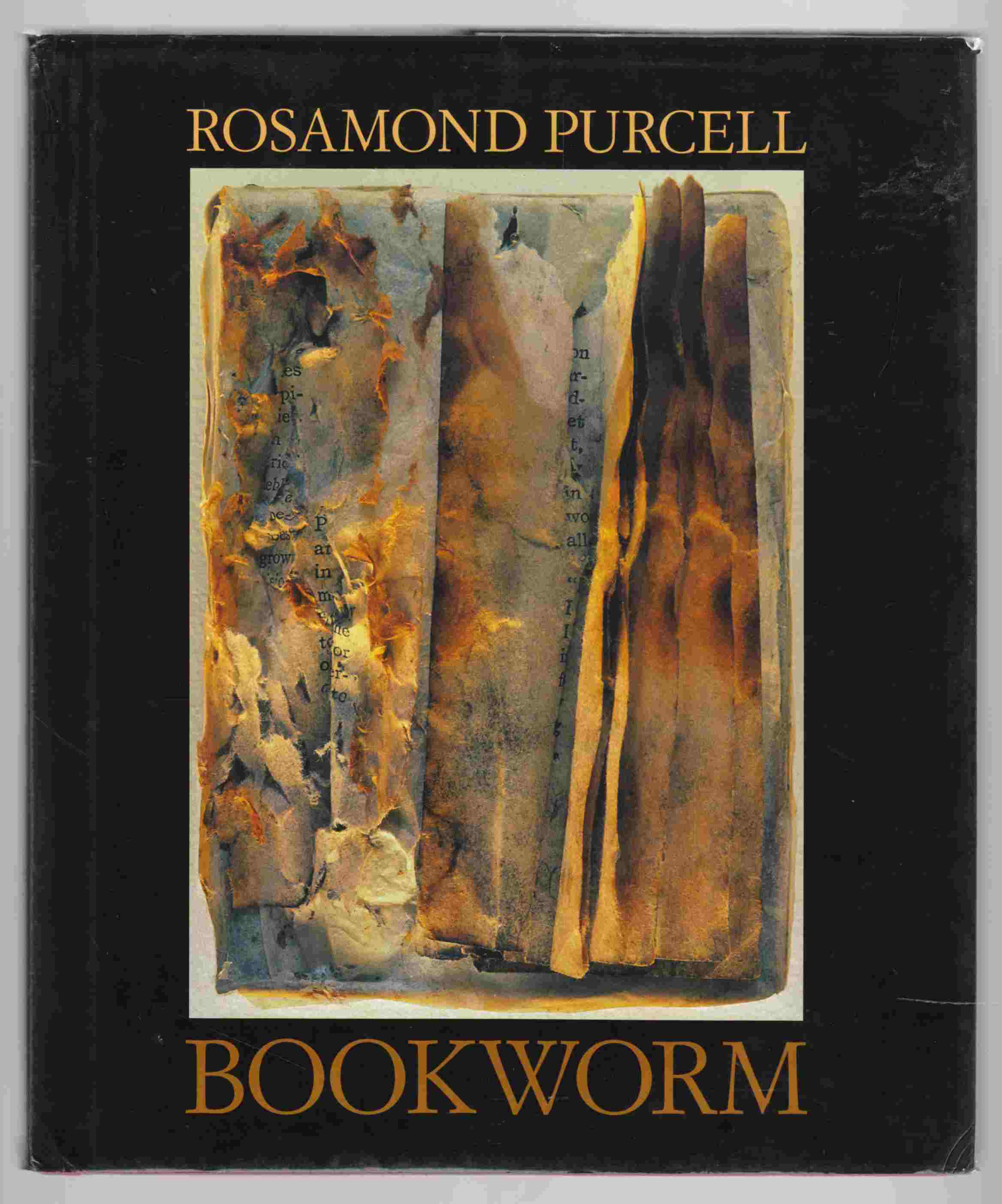 Image for Bookworm
