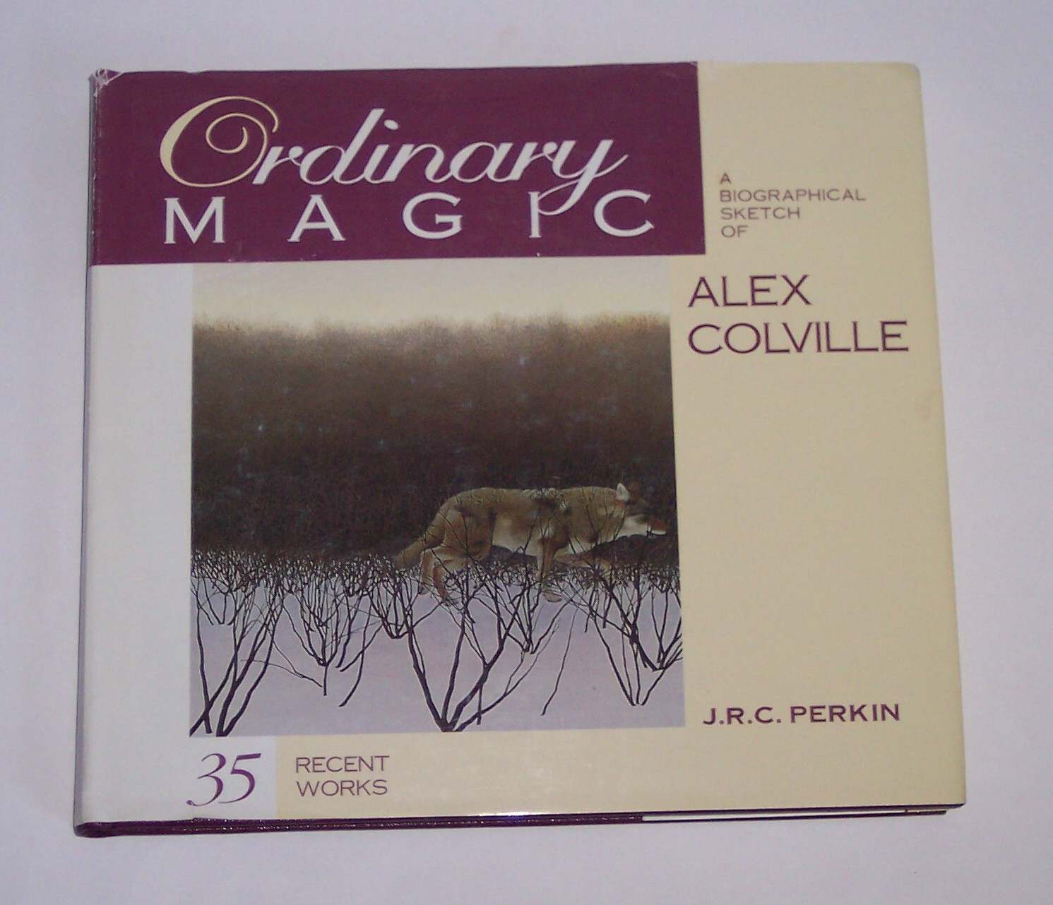 Image for Ordinary Magic A Biographical Sketch of Alex Coville