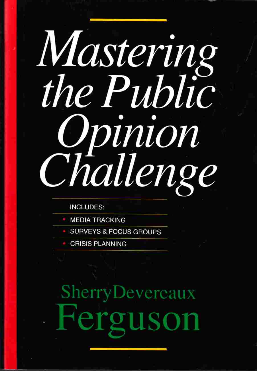 Image for Mastering the Public Opinion Challenge