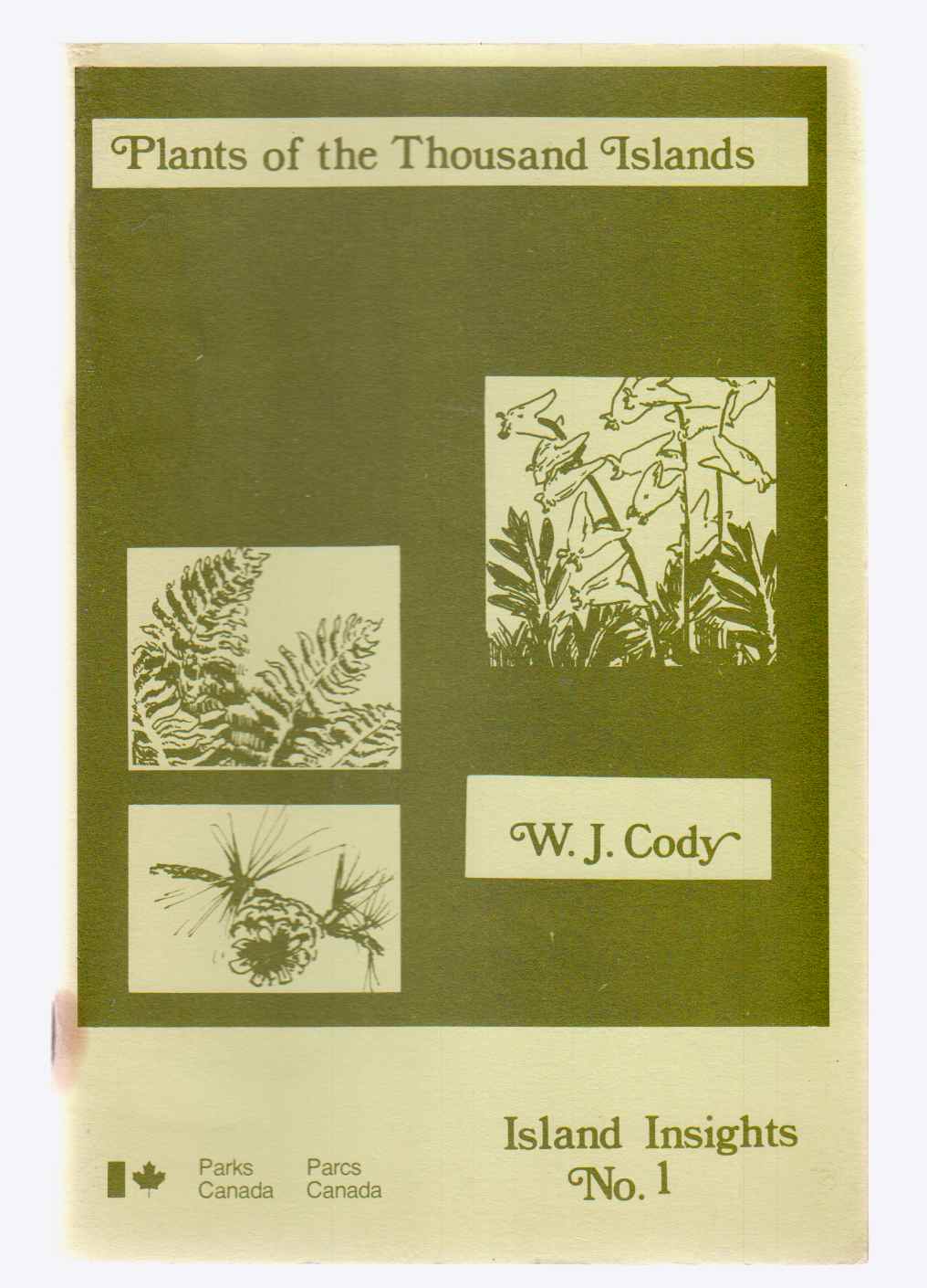 Image for Plants of the Thousand Islands Island Insights No. 1