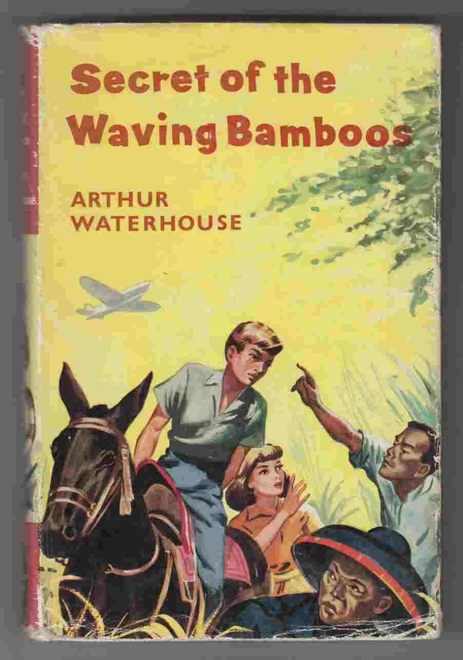 Image for Secret of the Waving Bamboos