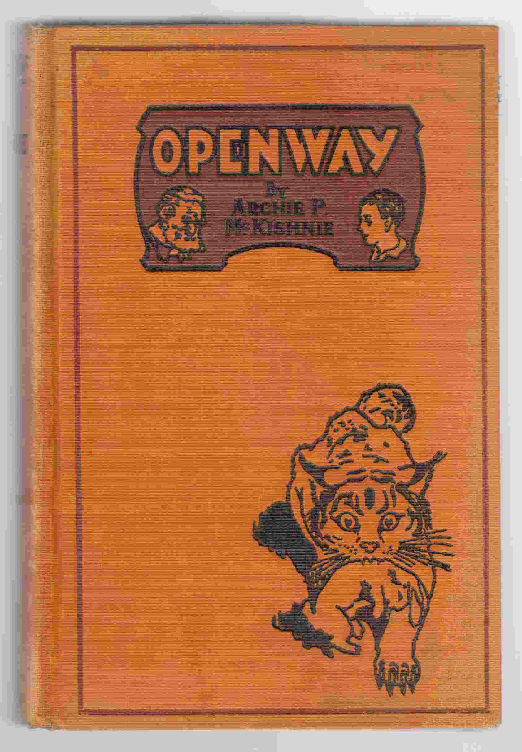 Image for Openway