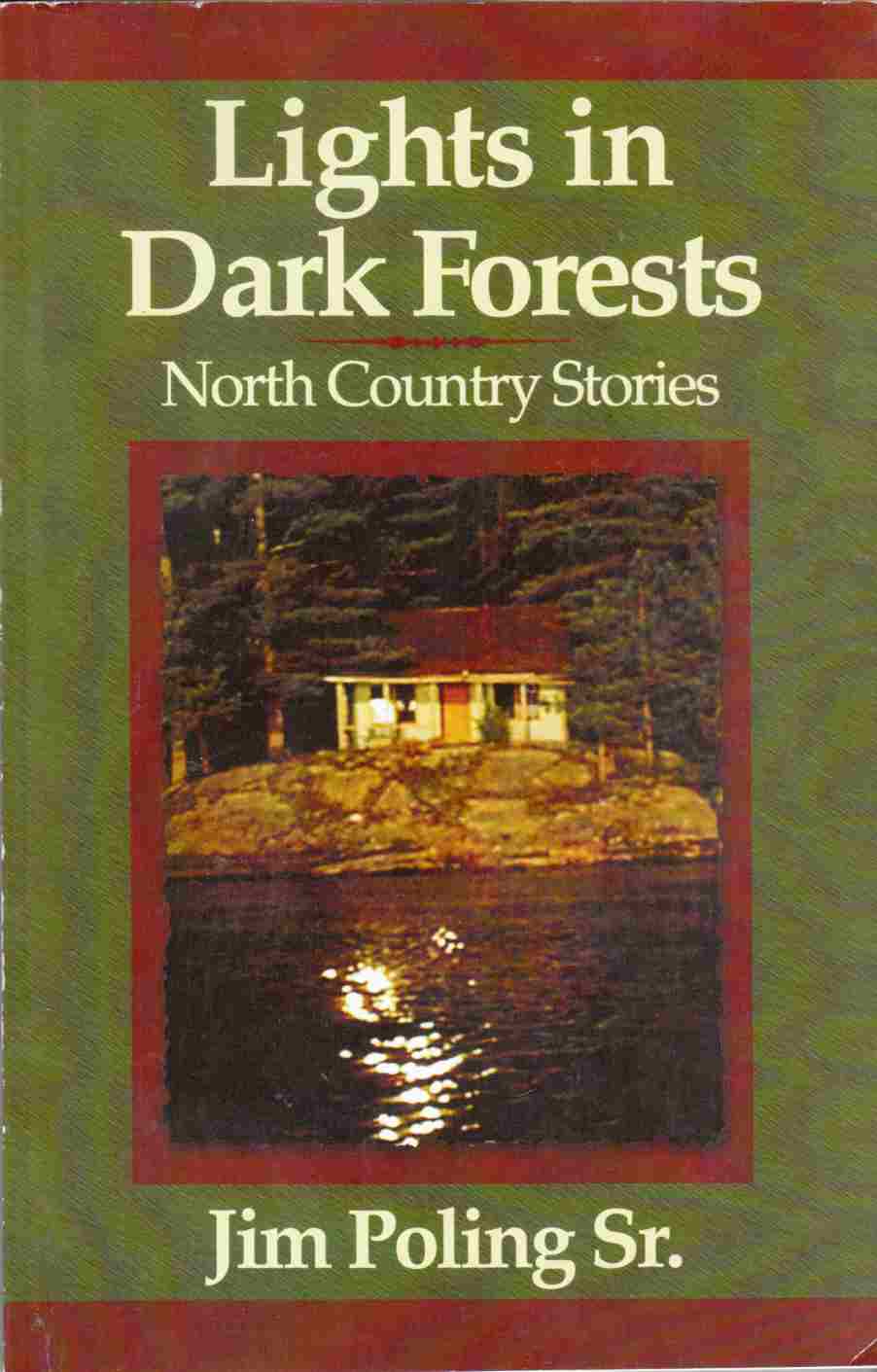 Image for Lights in Dark Forests: North Country Stories