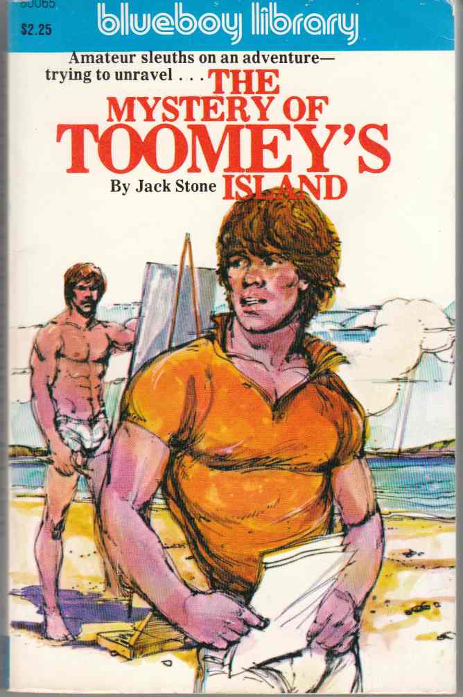 Image for The Mystery of Toomey's Island