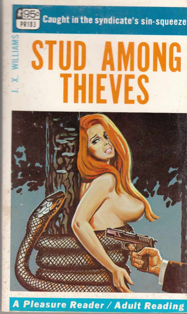 Image for Stud Among Thieves