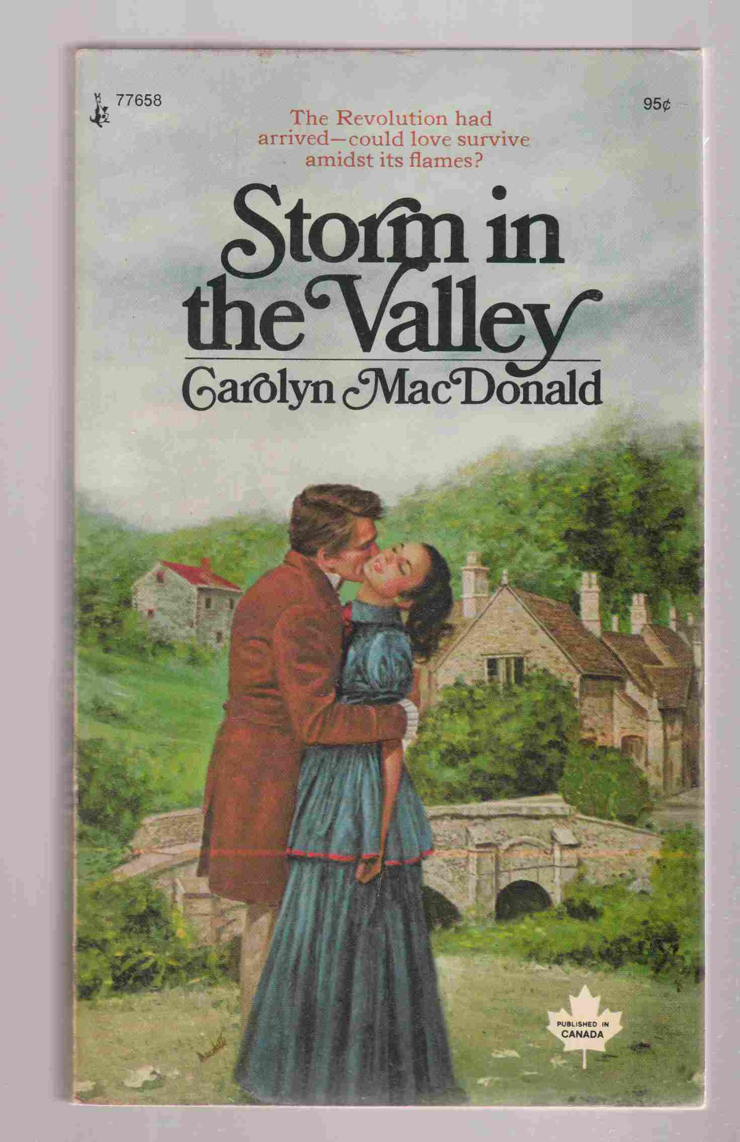 Image for Storm in the Valley