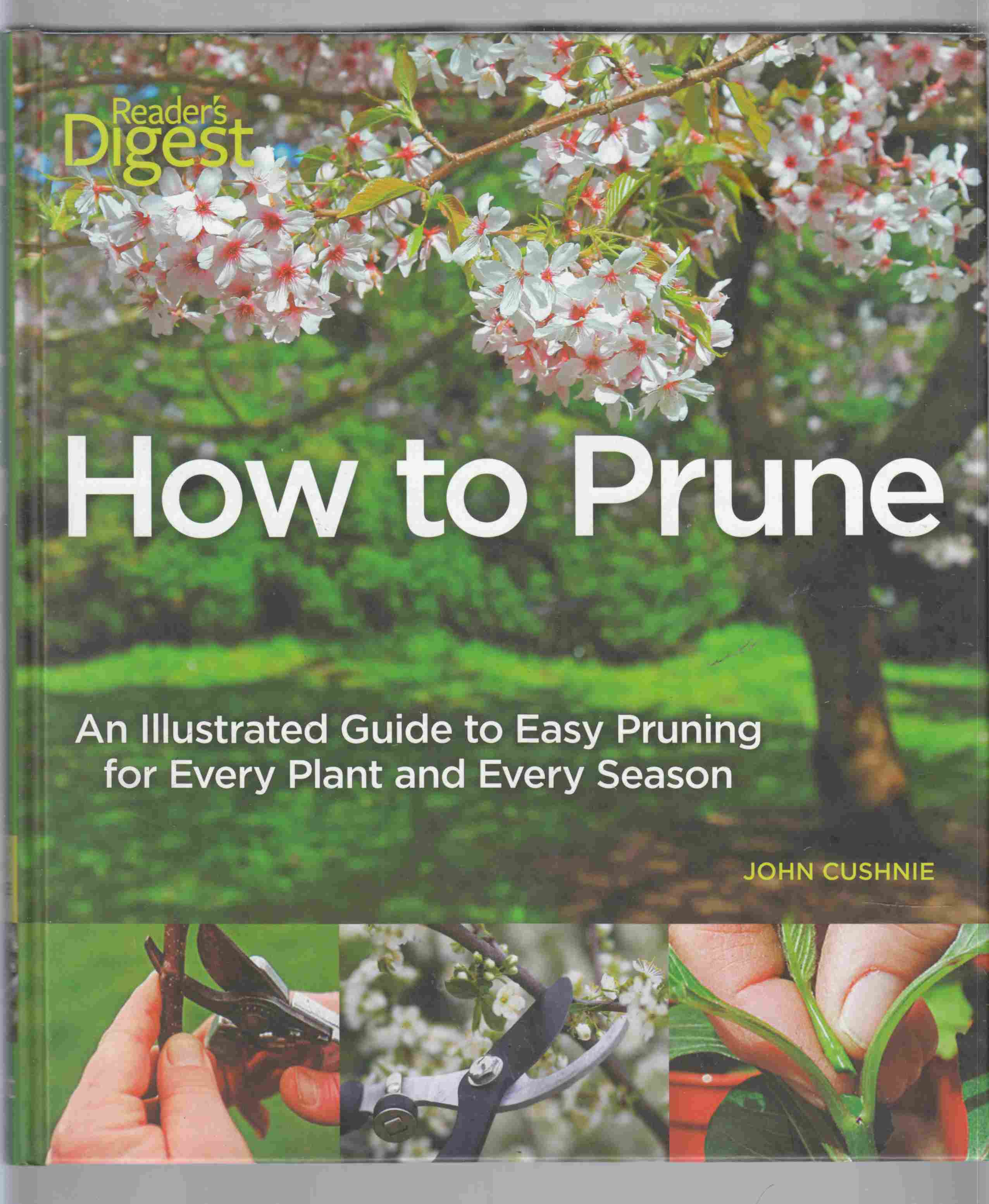 Image for How to Prune