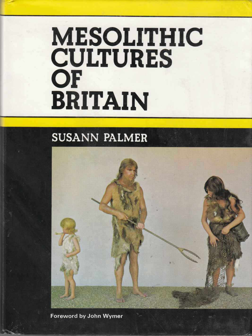 Image for Mesolithic Cultures of Britain