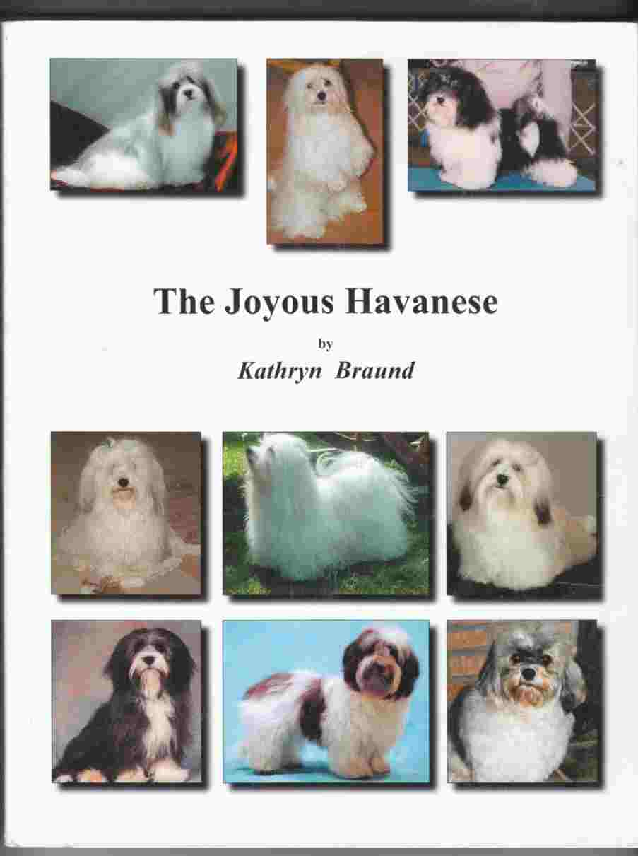 Image for The Joyous Havanese