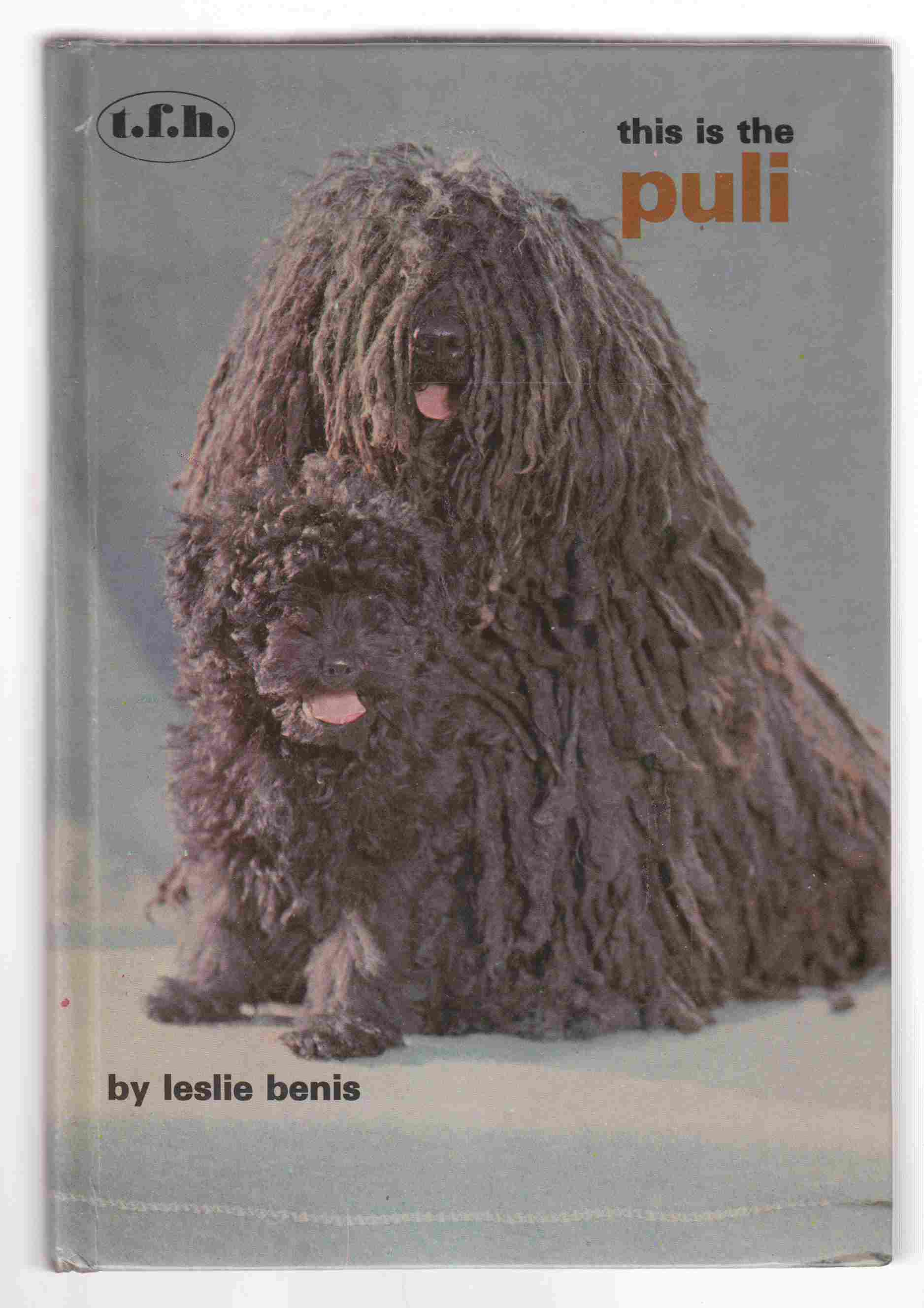 Image for This is the Puli