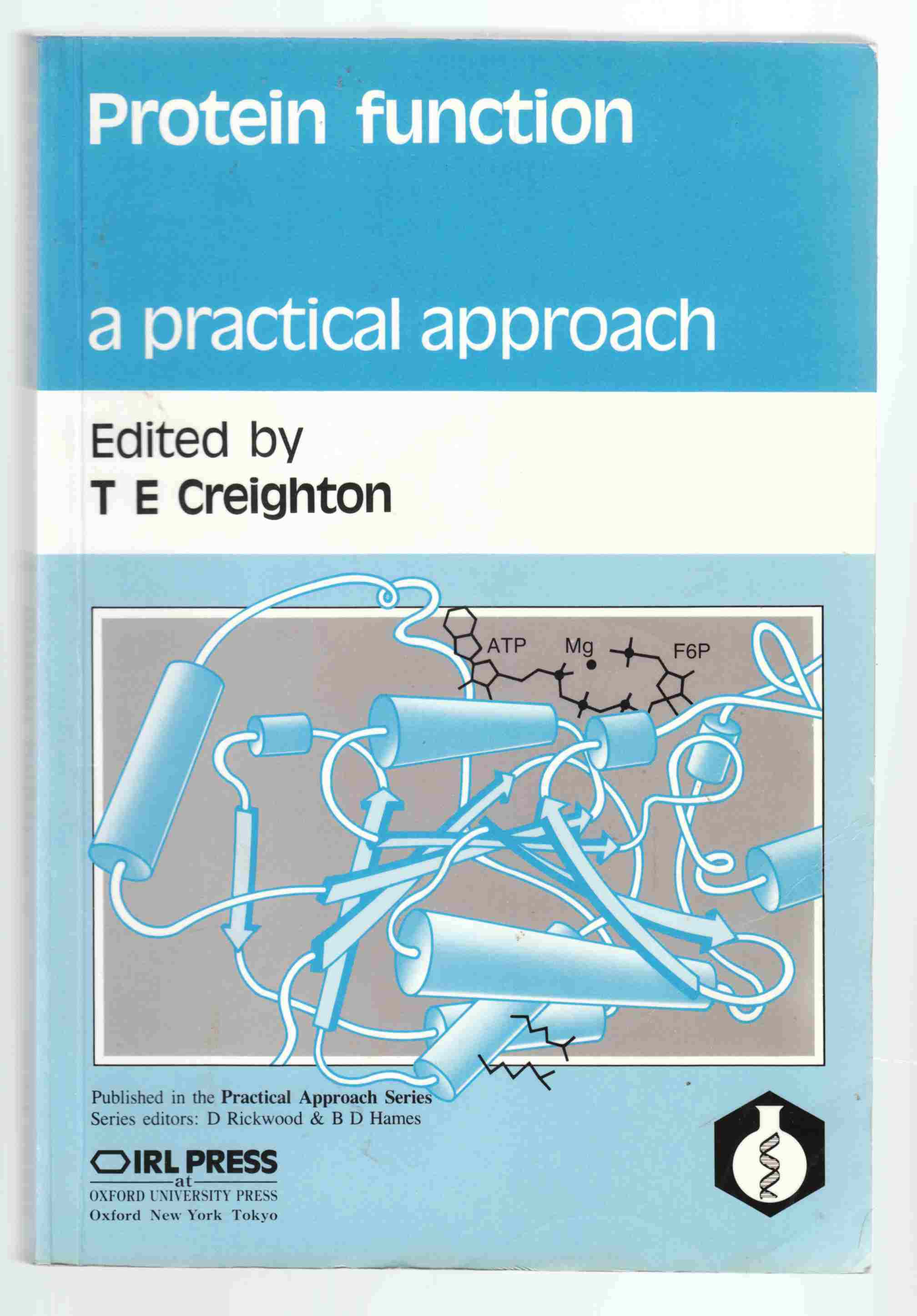Image for Protein Function A Practical Approach