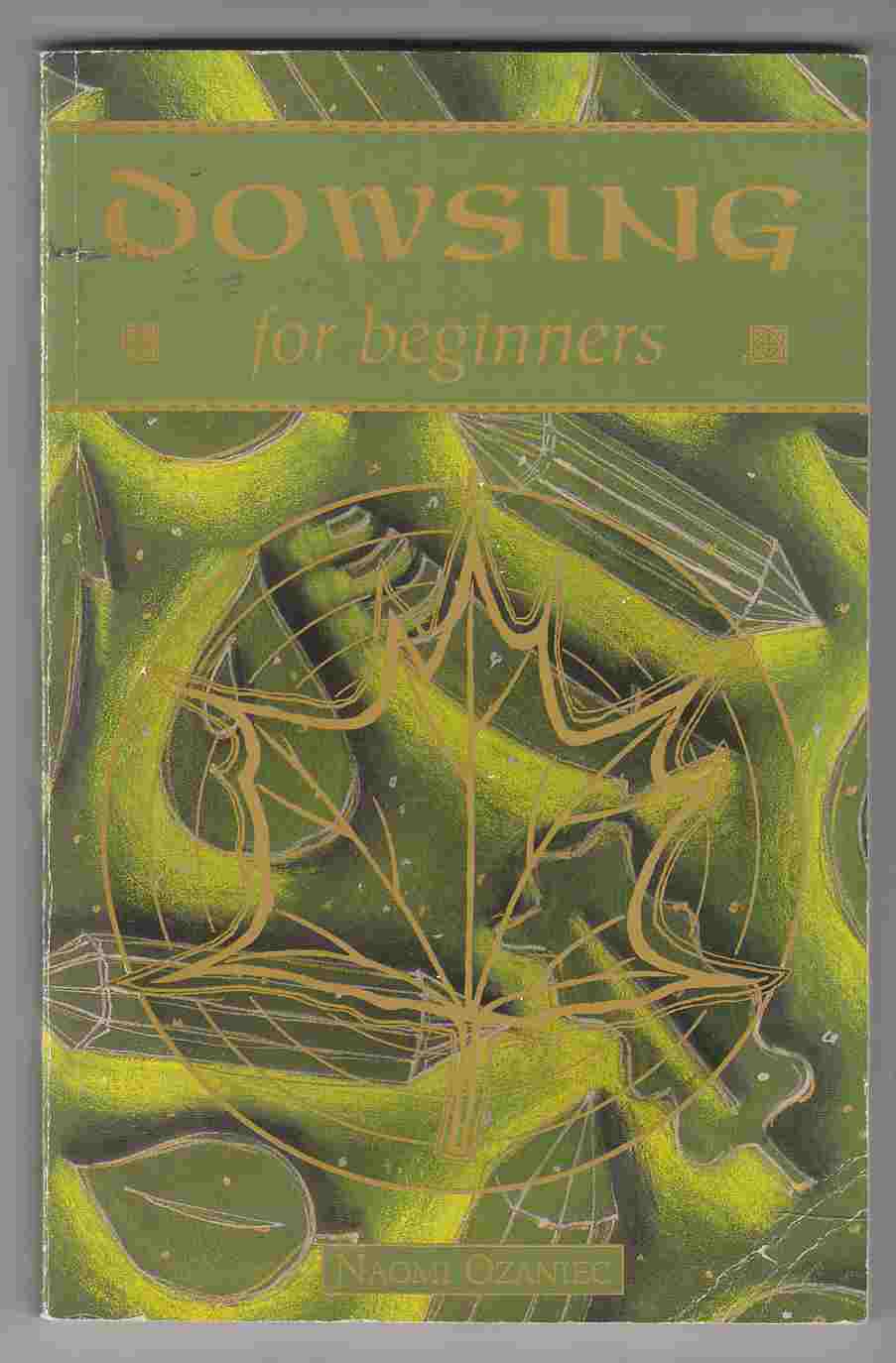 Image for Dowsing for Beginners