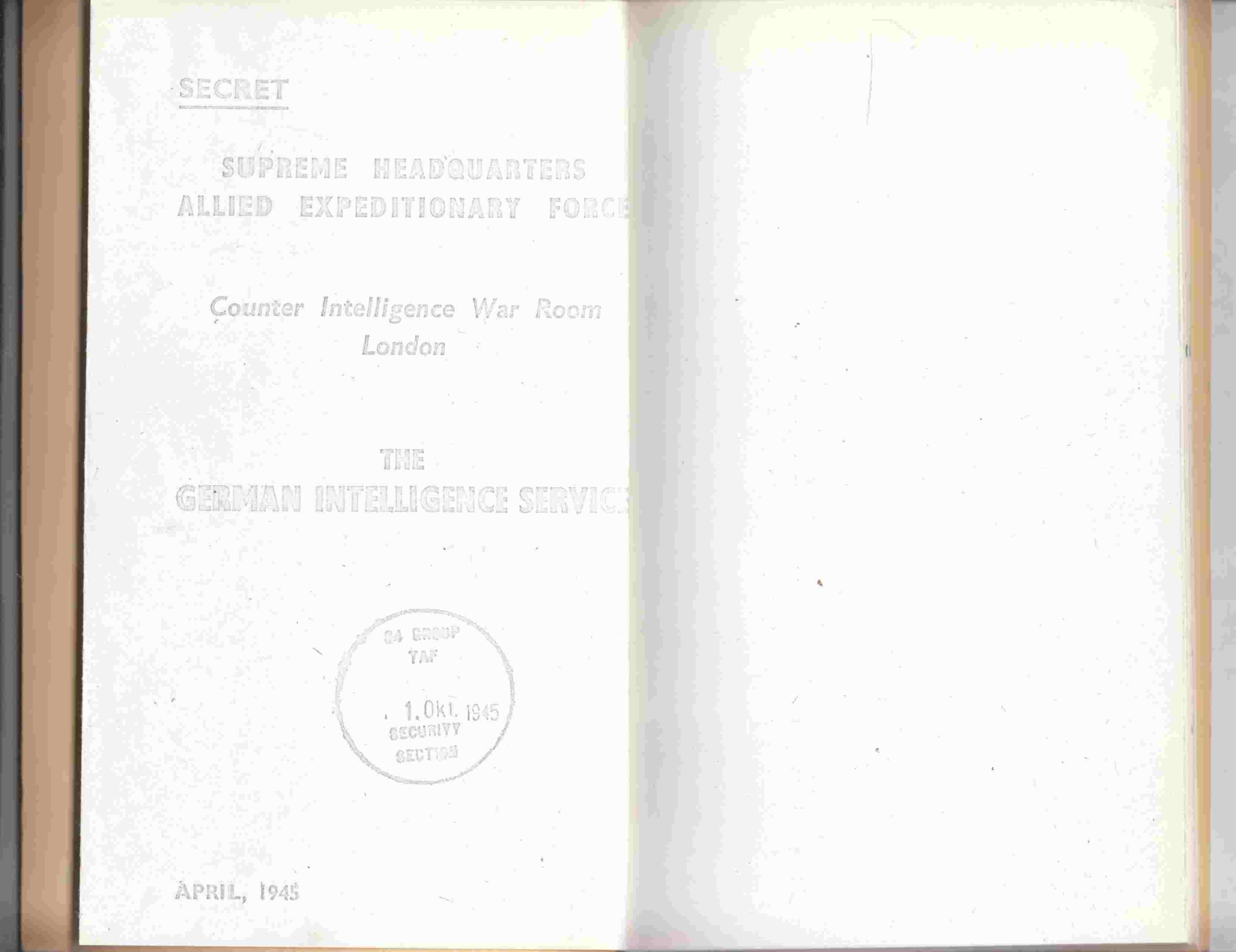 Image for The German Intelligence Service