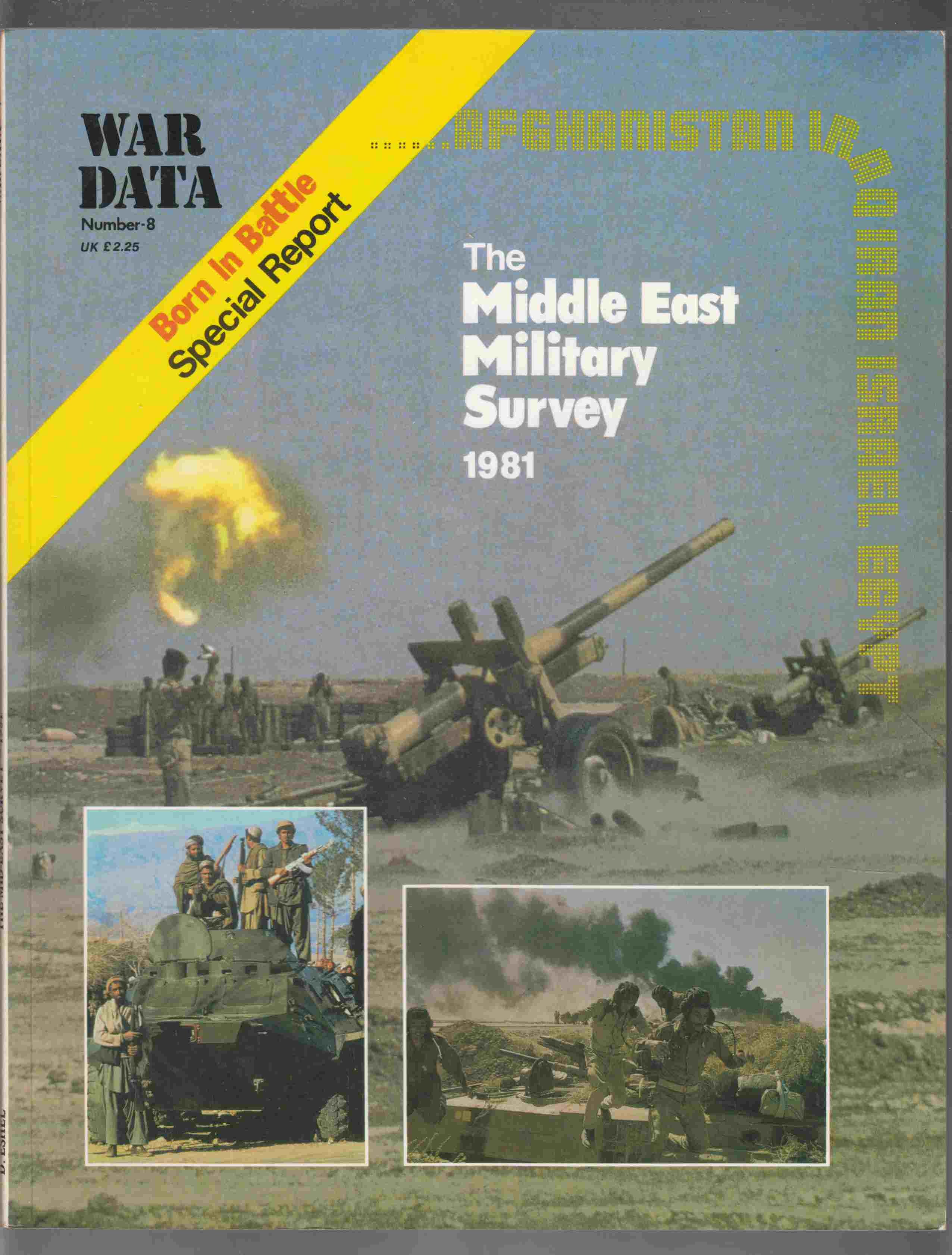 Image for The Middle East Survey 1981