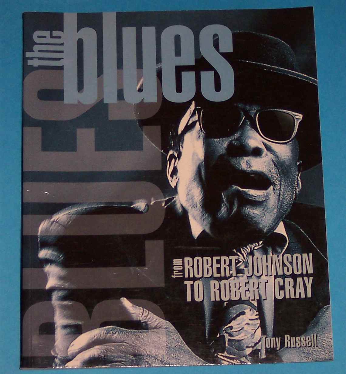 Image for The Blues : From Robert Johnson to Robert Cray