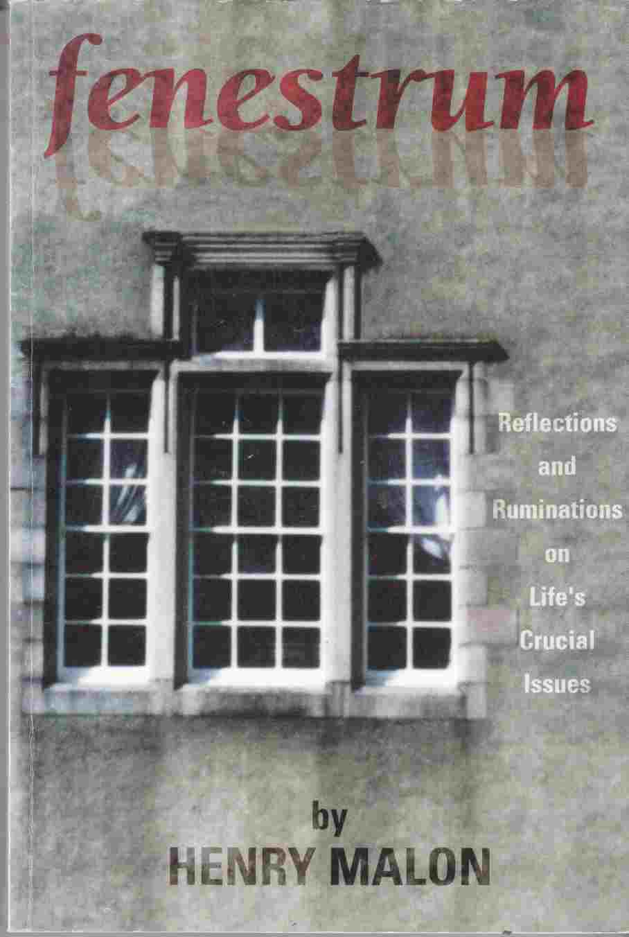 Image for Fenestrum I: Reflections and Ruminations on Life's Crucial Issues