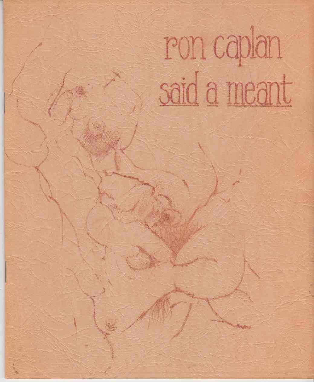 Image for Said a Meant