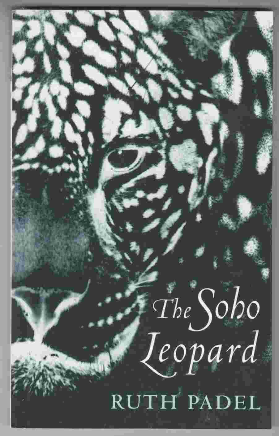 Image for The Soho Leopard