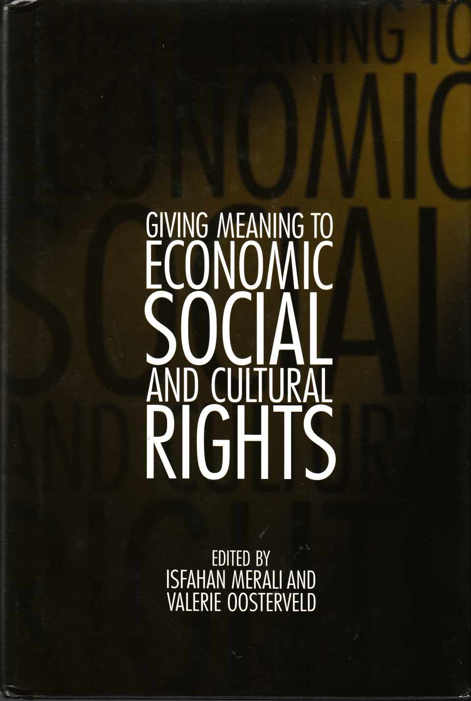 Image for Giving Meaning to Economic, Social and Cultural Rights