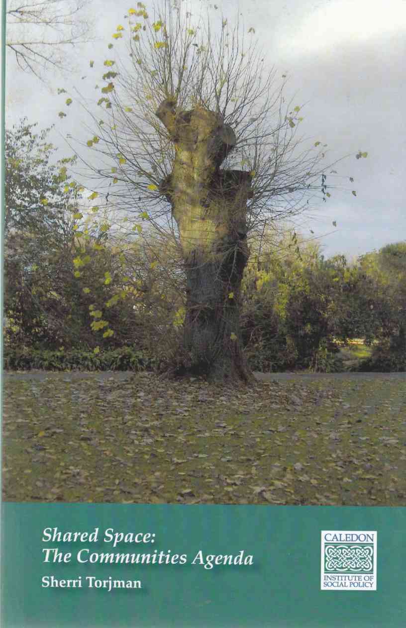 Image for Shared Space The Communities Agenda