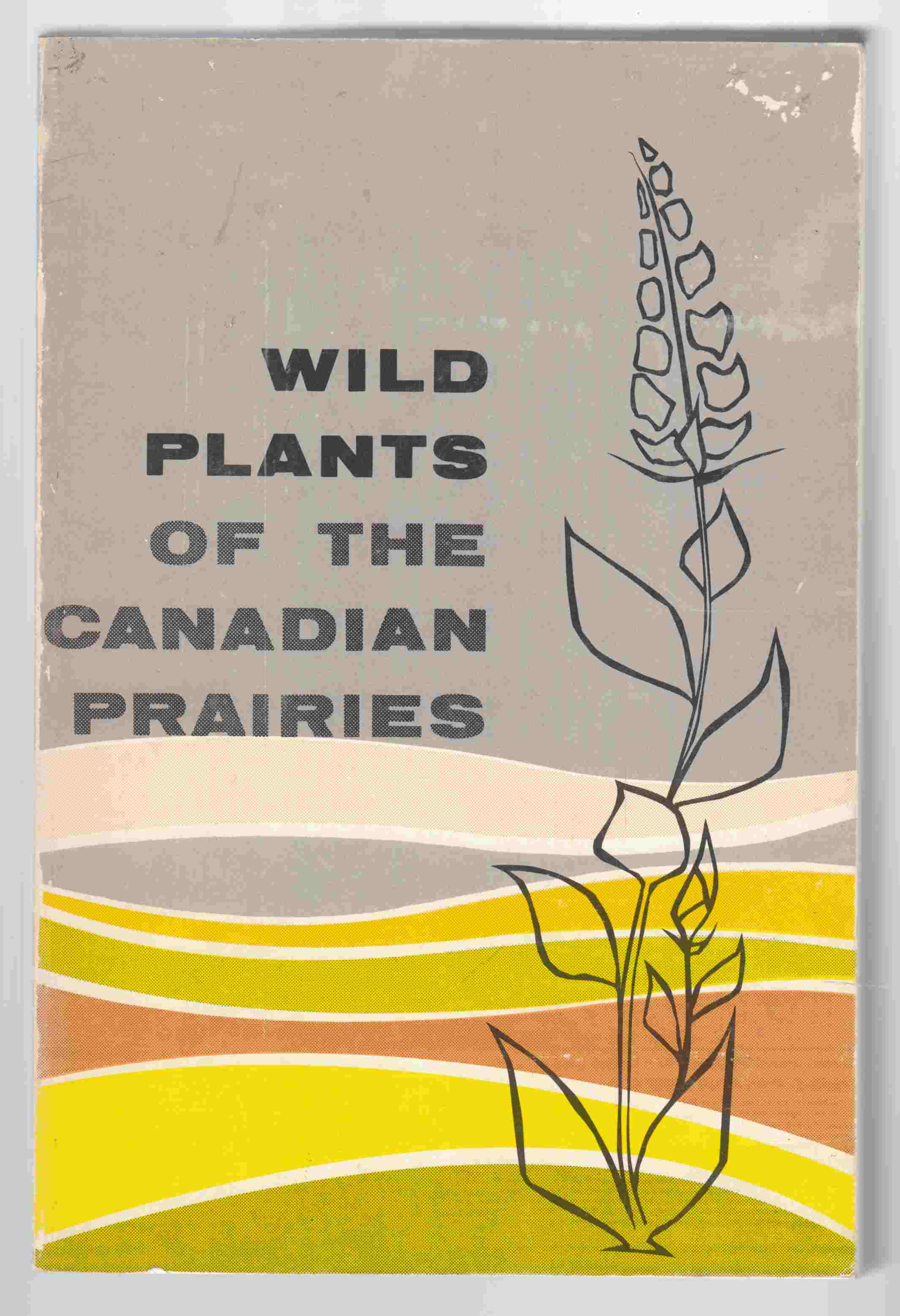 Image for Wild Plants of the Canadian Prairies
