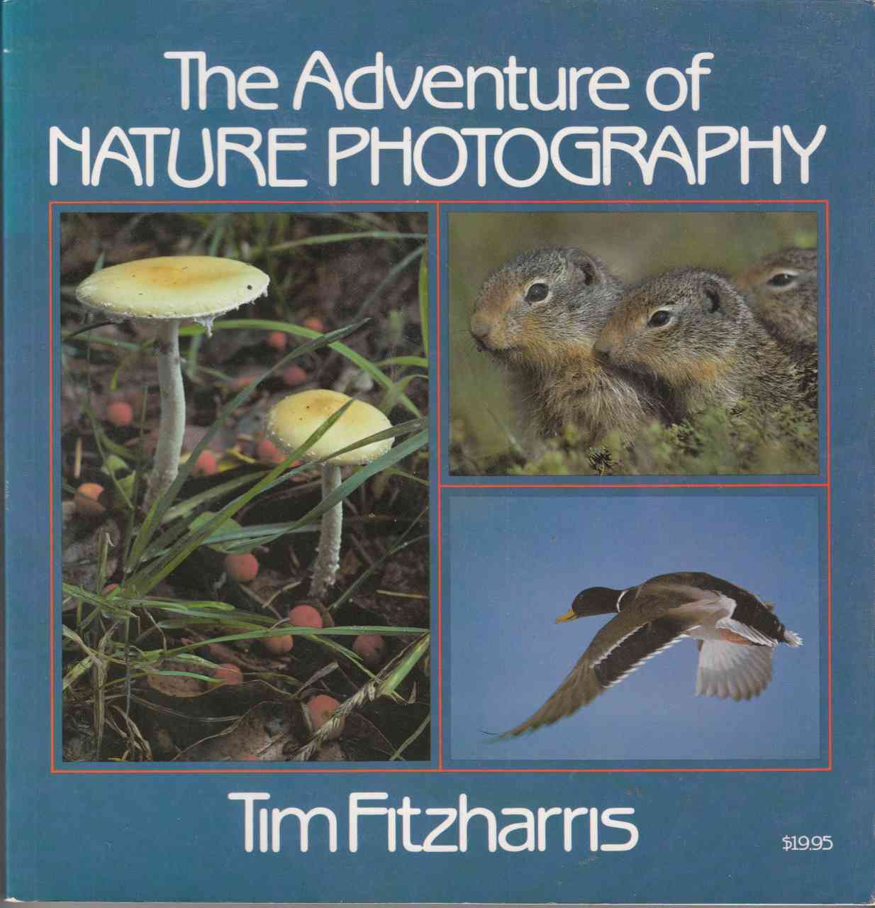 Image for The Adventure of Nature Photography