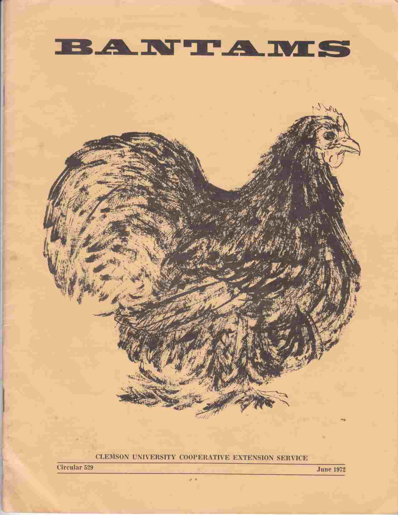 Image for Bantams