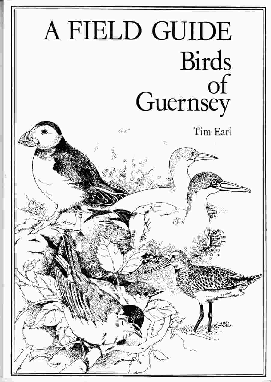 Image for A Field Guide Birds of Guernsey