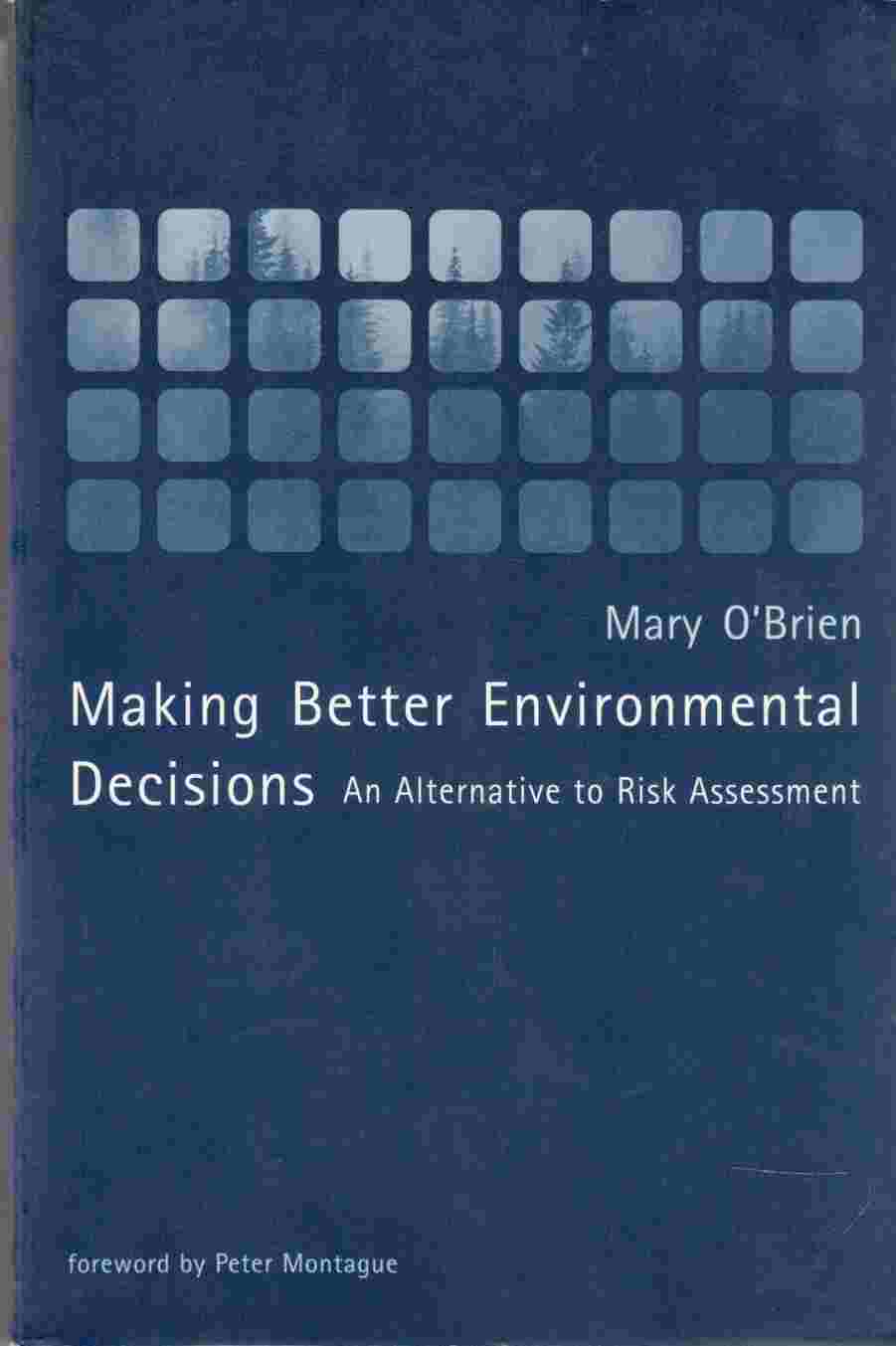 Image for Making Better Environmental Decisions An Alternative to Risk Assessment