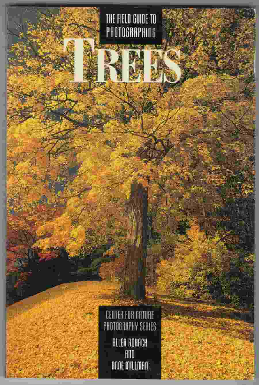 Image for The Field Guide to Photographing Trees