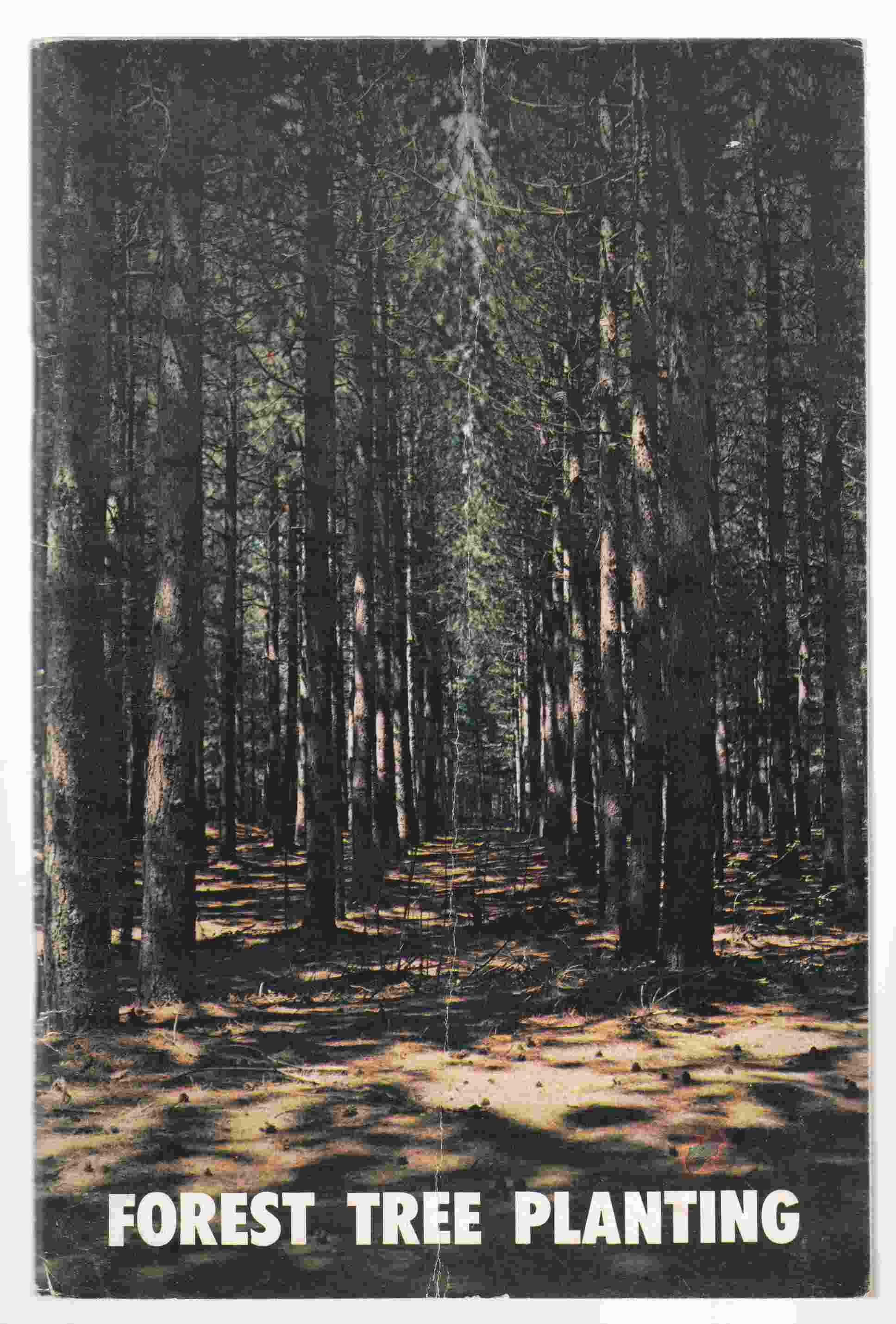 Image for Forest Tree Planting Bulletin No. C-5-10M