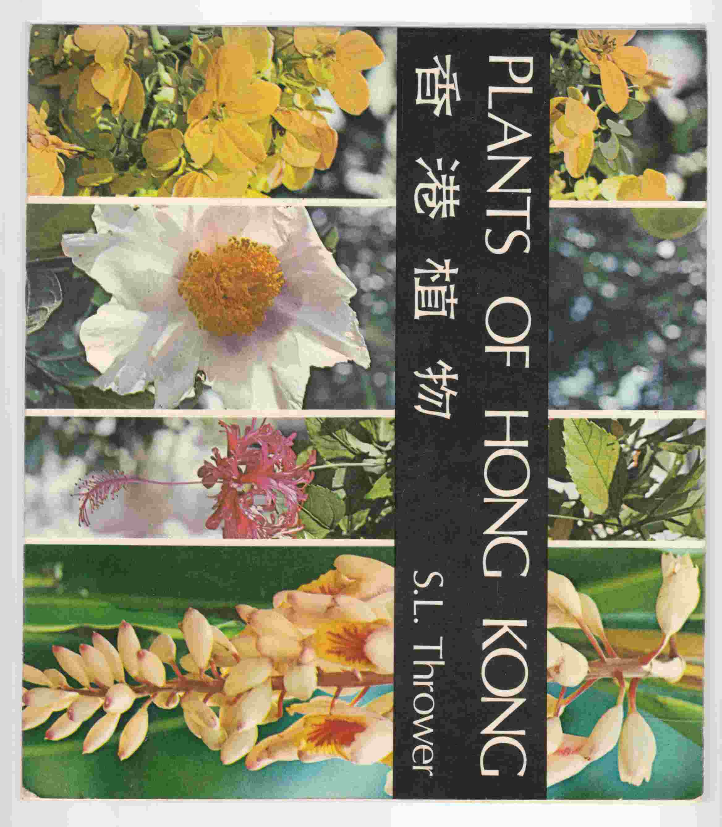 Image for Plants of Hong Kong