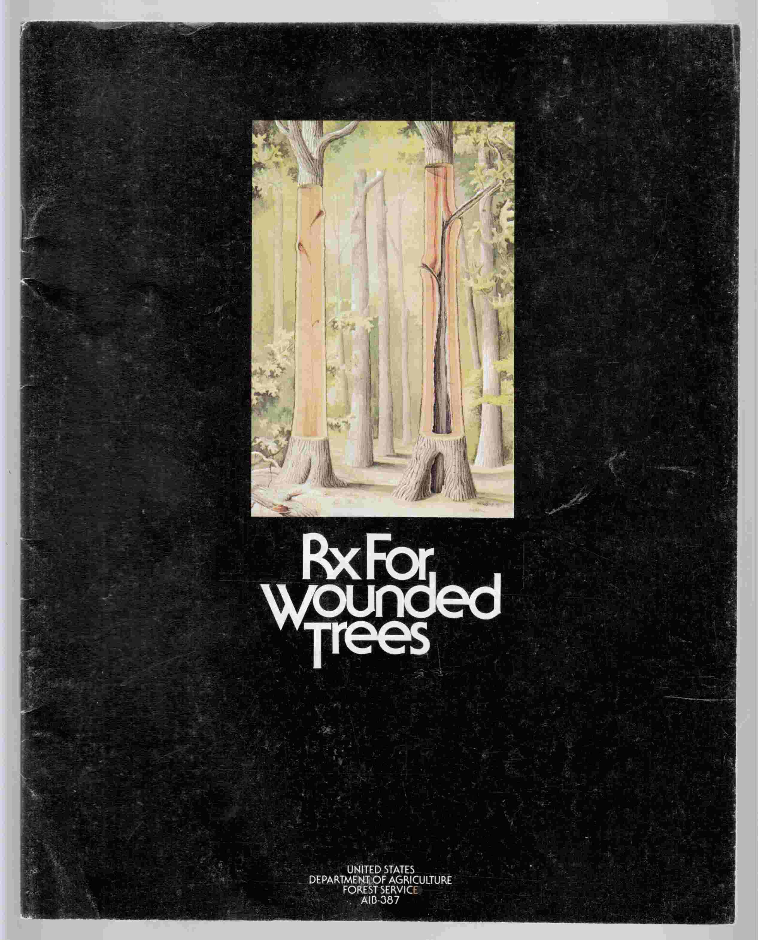 Image for Rx for Wounded Trees