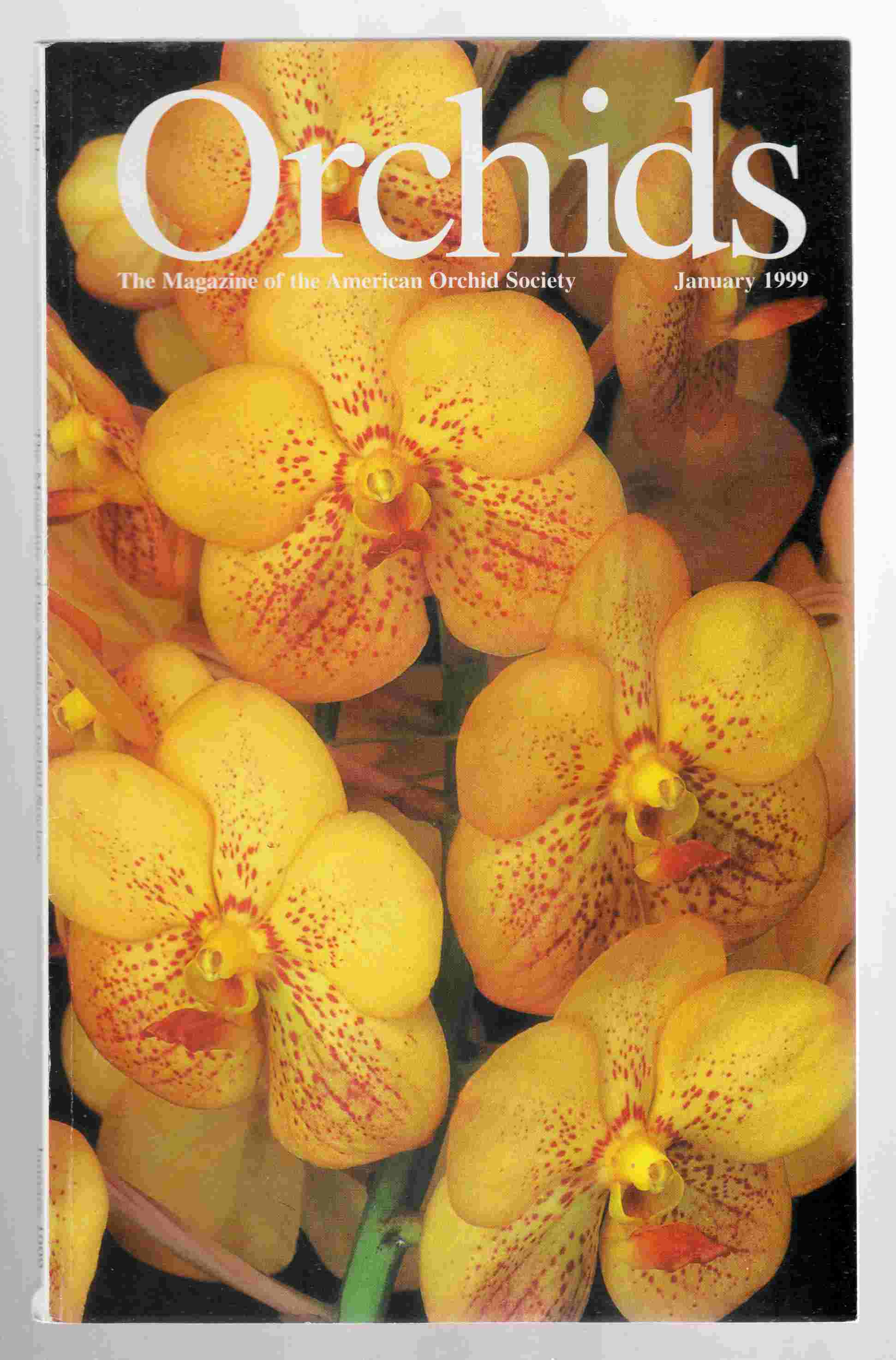 Orchids Magazine Vol. 68, No. 1 January 1999