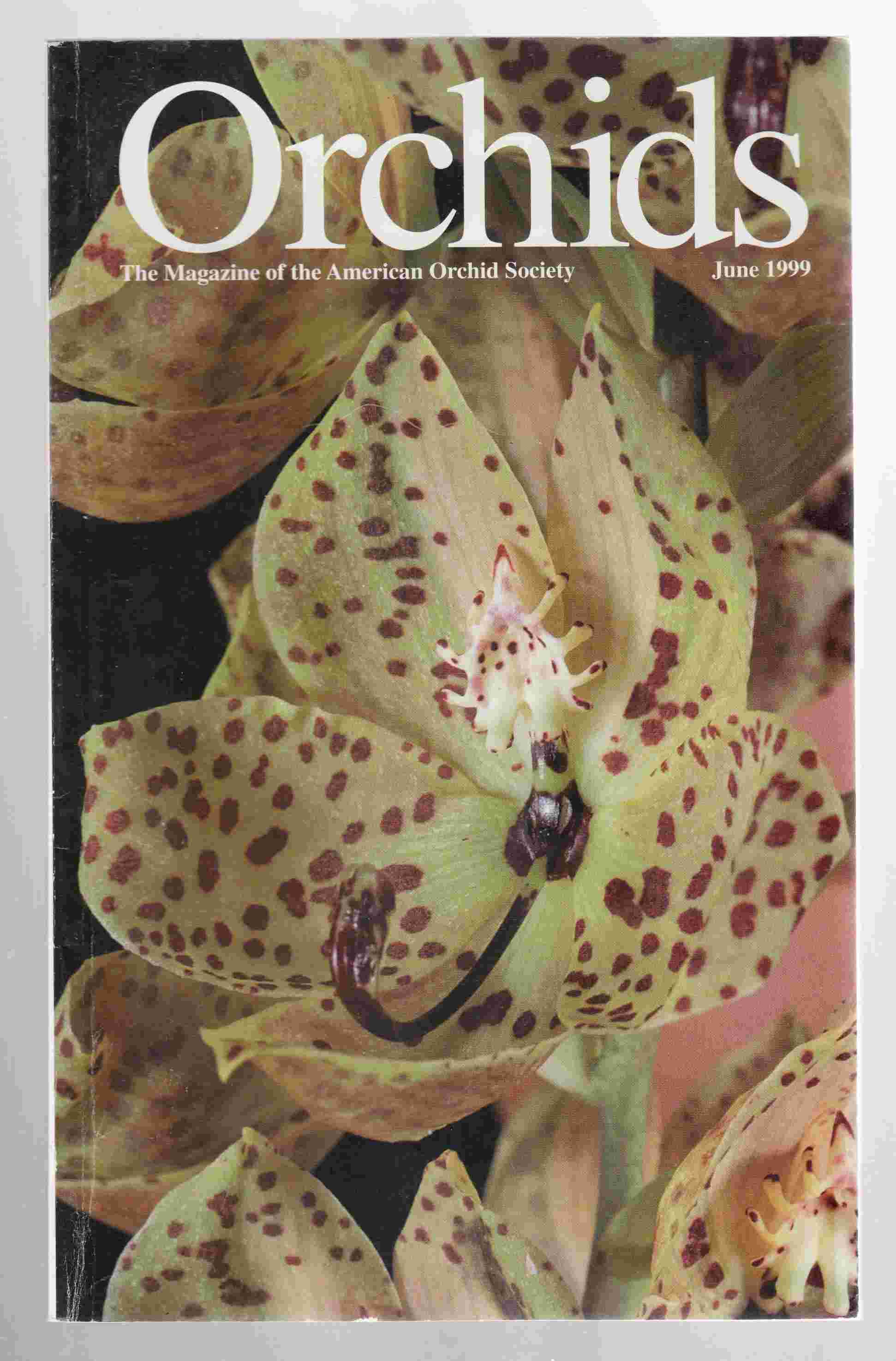 Orchids Magazine Vol. 68, No. 5 May 1999