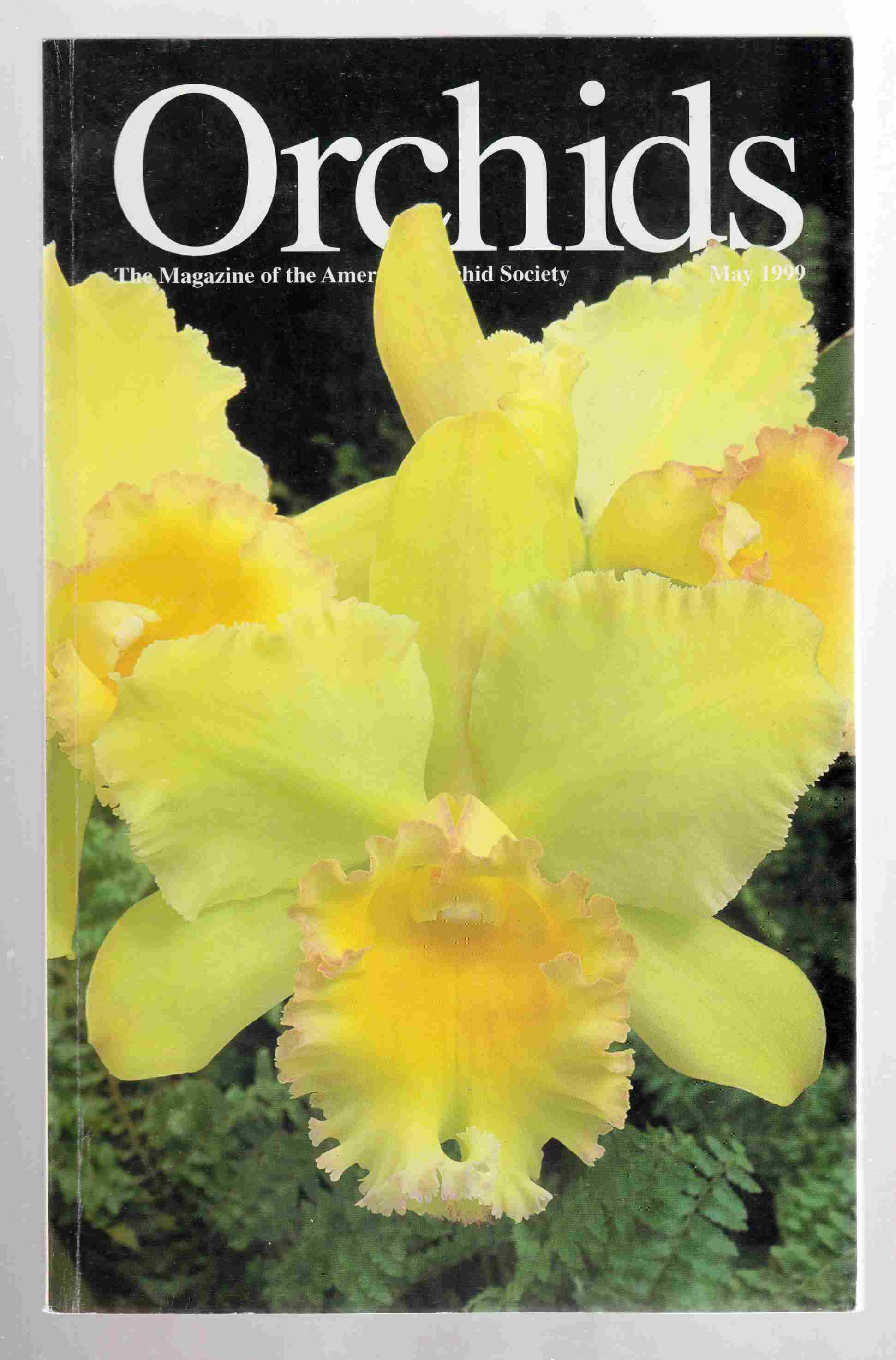 Orchids Magazine Vol. 68, No. 5 May 1999