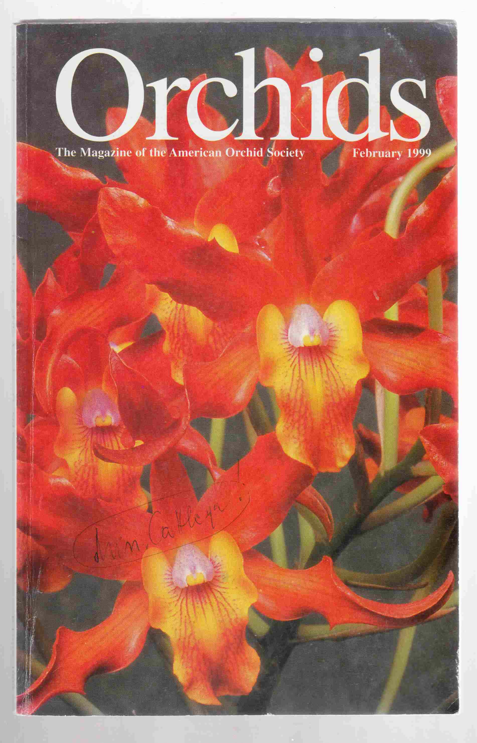 Image for Orchids Vol. 68, No. 2, February 1999