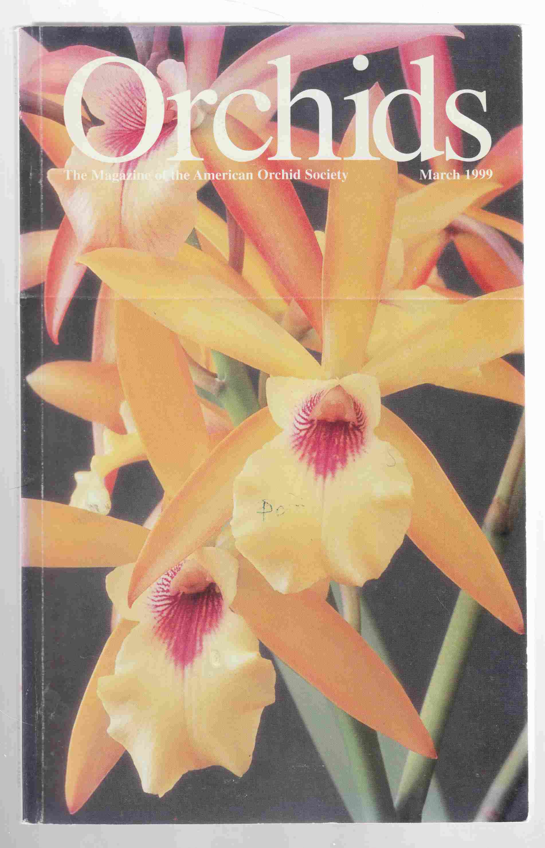 Image for Orchids Vol. 68, No. 3, March 1999