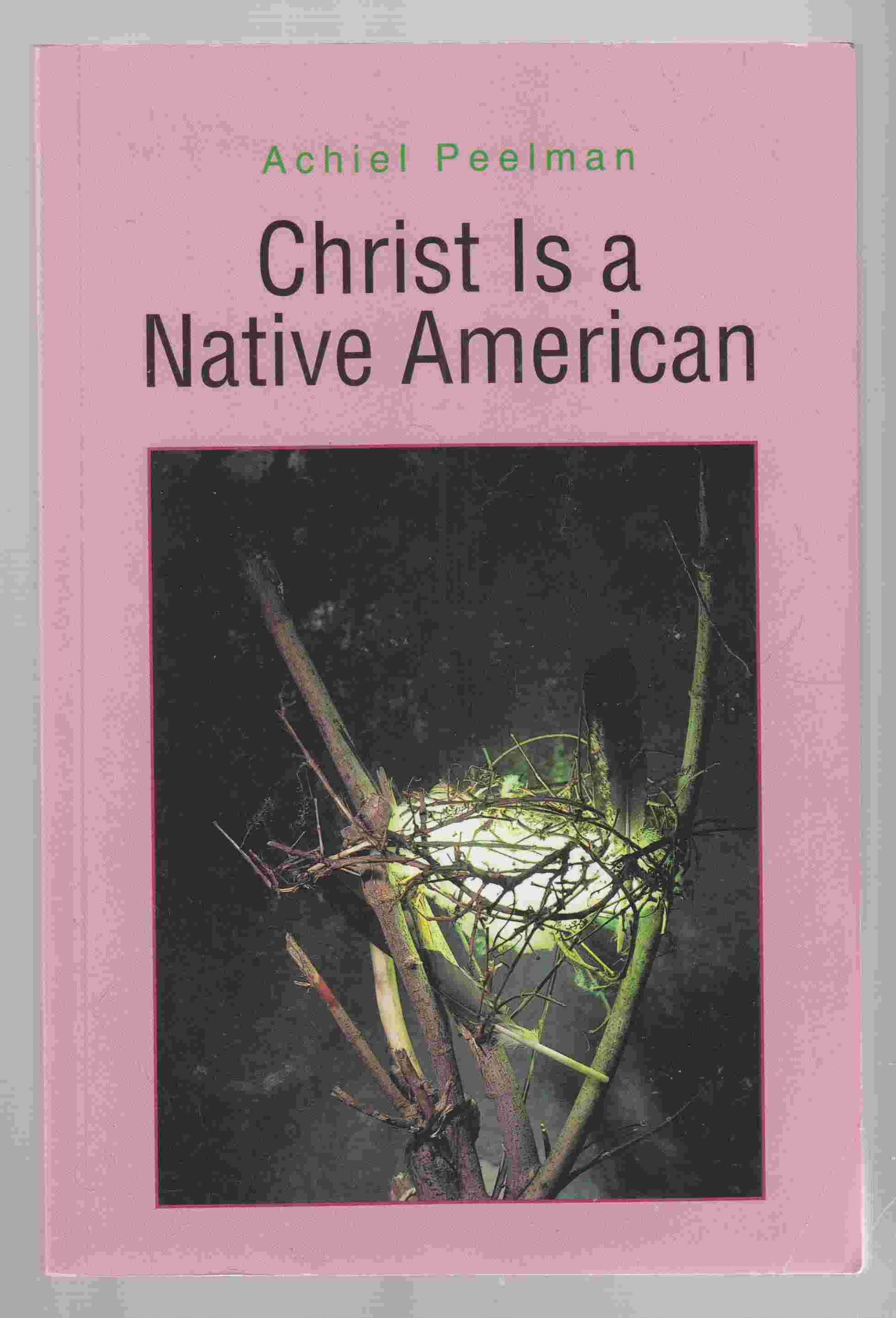 Image for Christ is a Native American