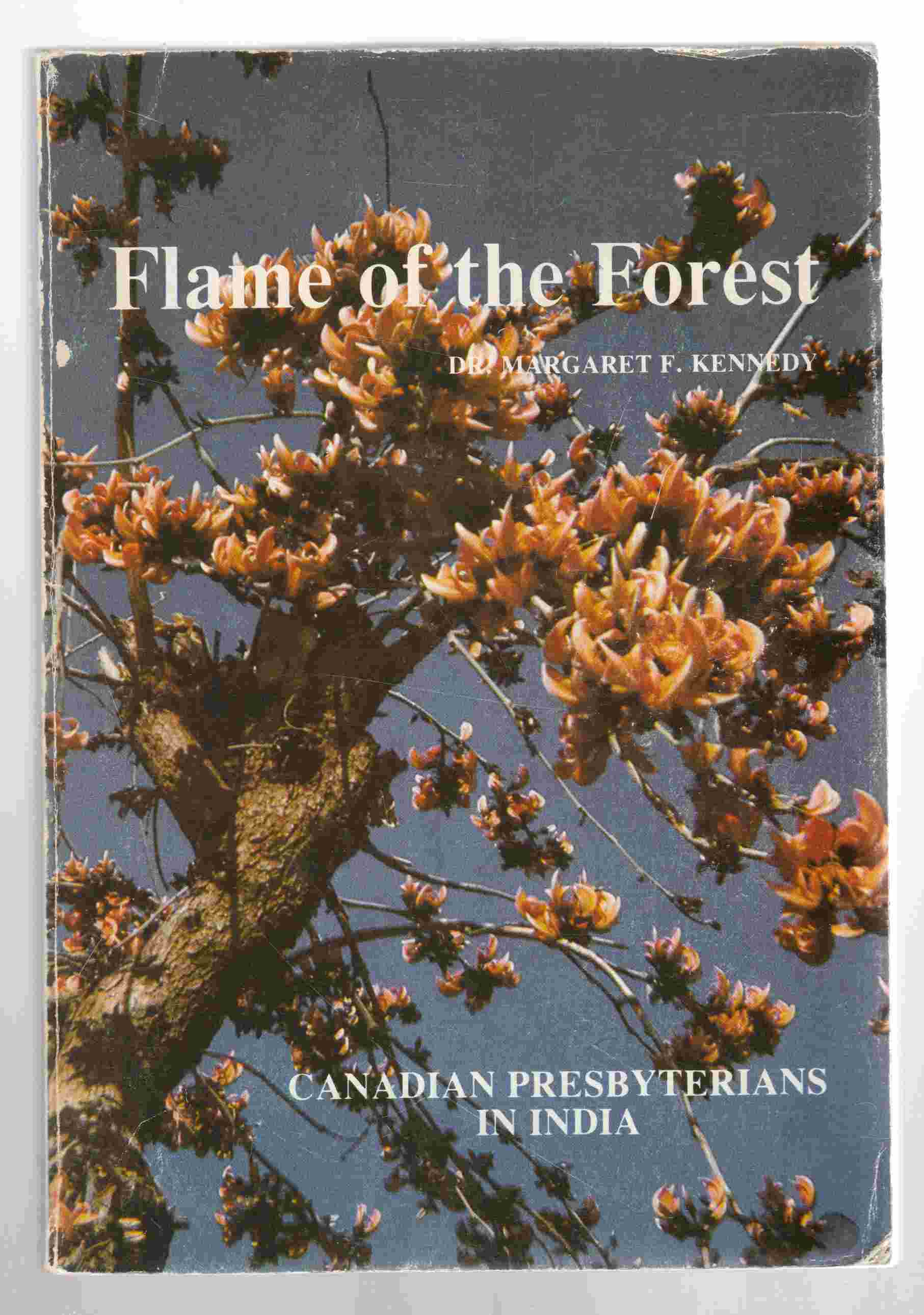 Image for Flame of the Forest, Canadian Presbyterians in India