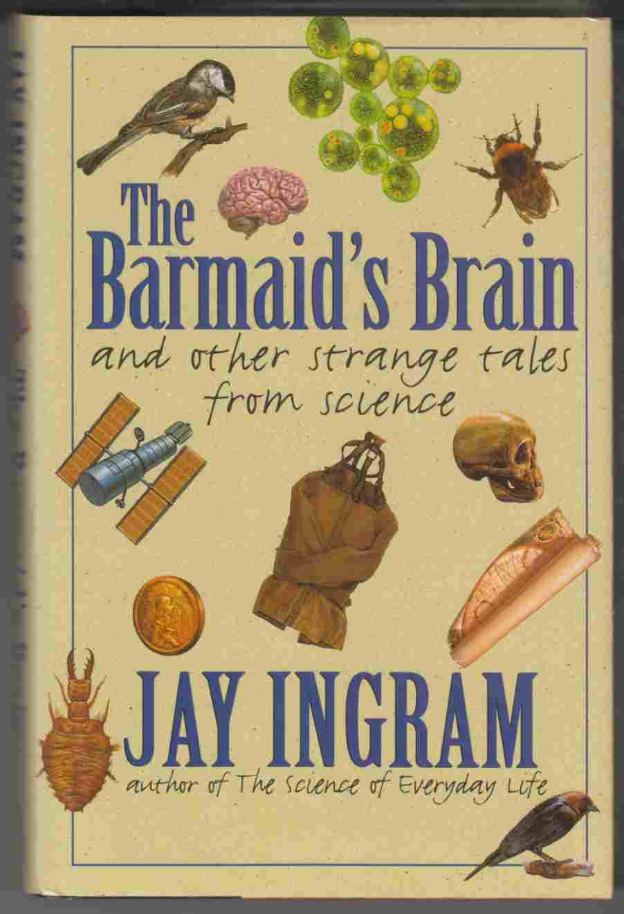 Image for The Barmaid's Brain : And Other Strange Tales from Science
